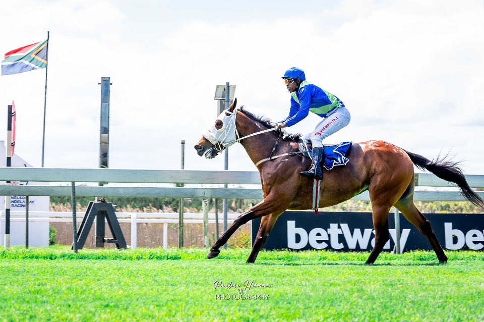 Gavin Smith Racing Stables... - Gavin Smith Racing Stables