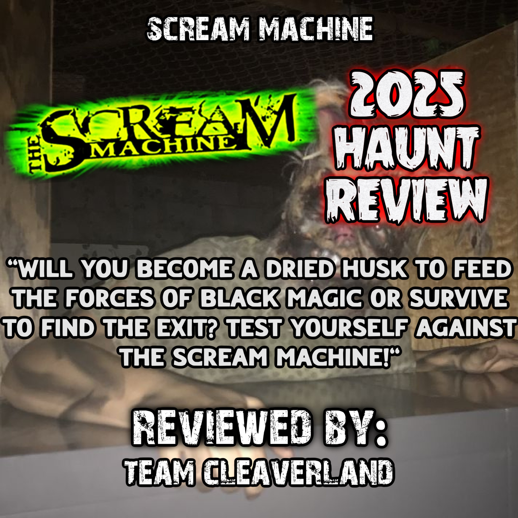 The word is out! We are incredibly... - The Scream Machine | Facebook