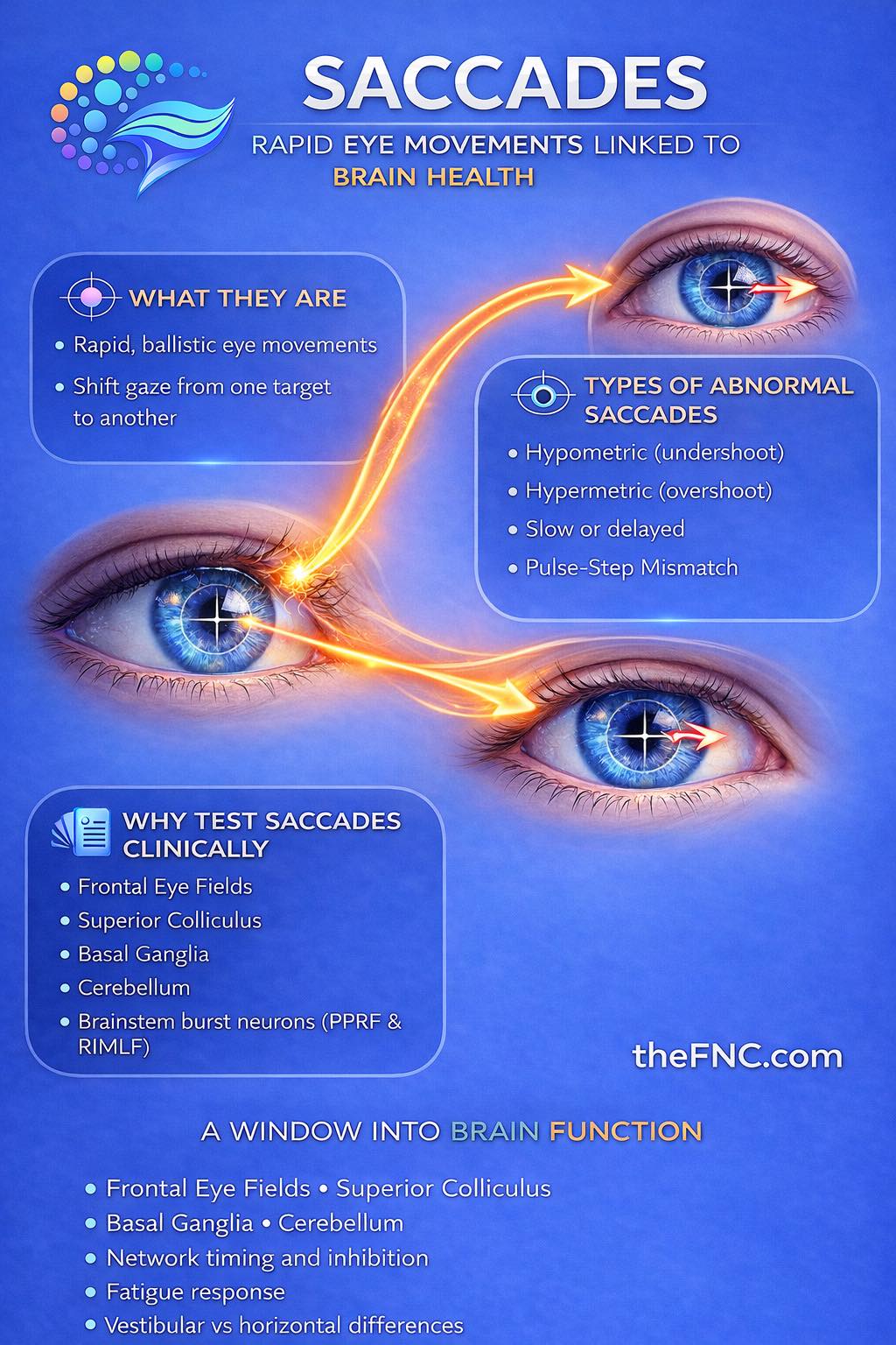 👁️ Saccades: The Most Important Eye Movement You’re Not Thinking About ...