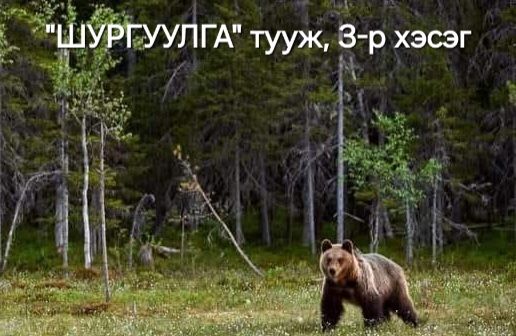 Зохиолч - ШУРГУУЛГА (тууж, 3-р хэсэг) Сумын зарлага Санчирт захиа ирлээ ...
