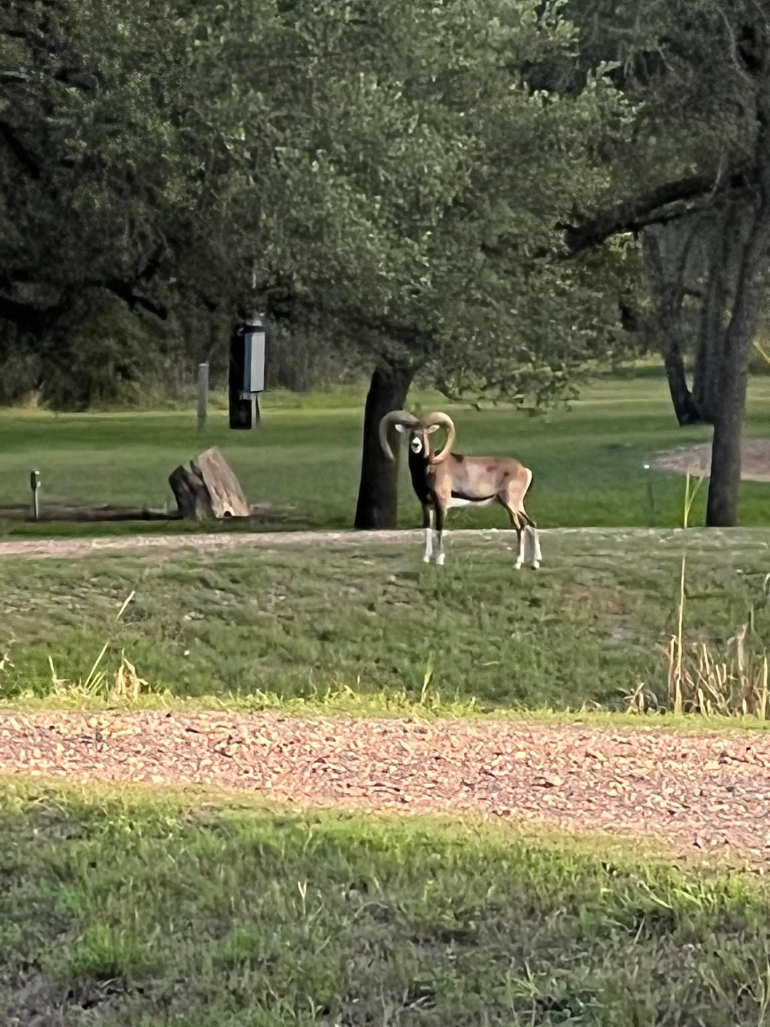5R Ranch | Goliad TX