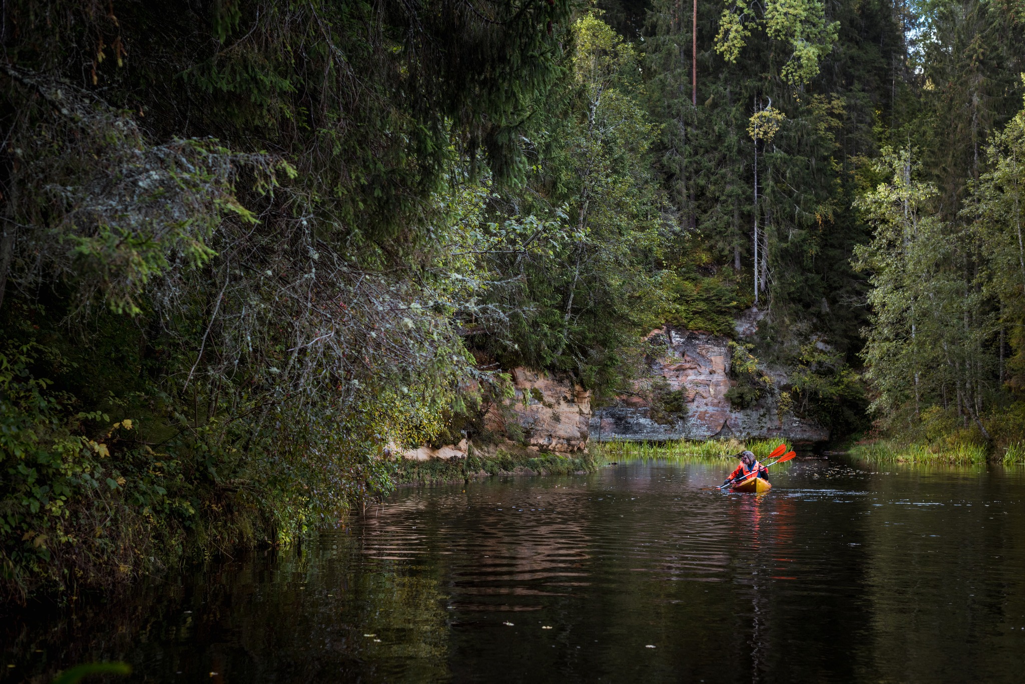 Public Transportation Near Gauja National Park