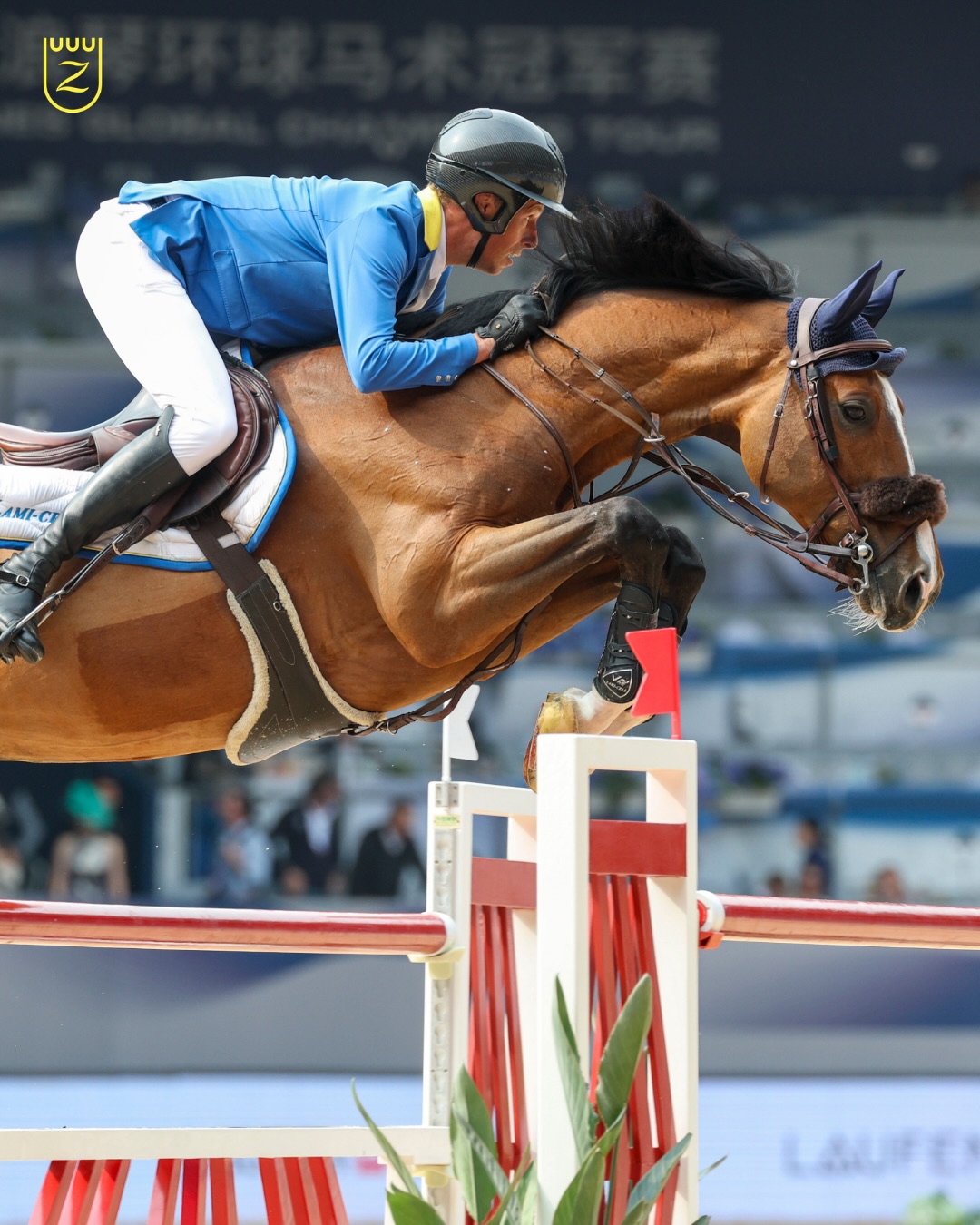 Top 10 Placement for Aganix du Seigneur Z Offspring in LGCT Grand