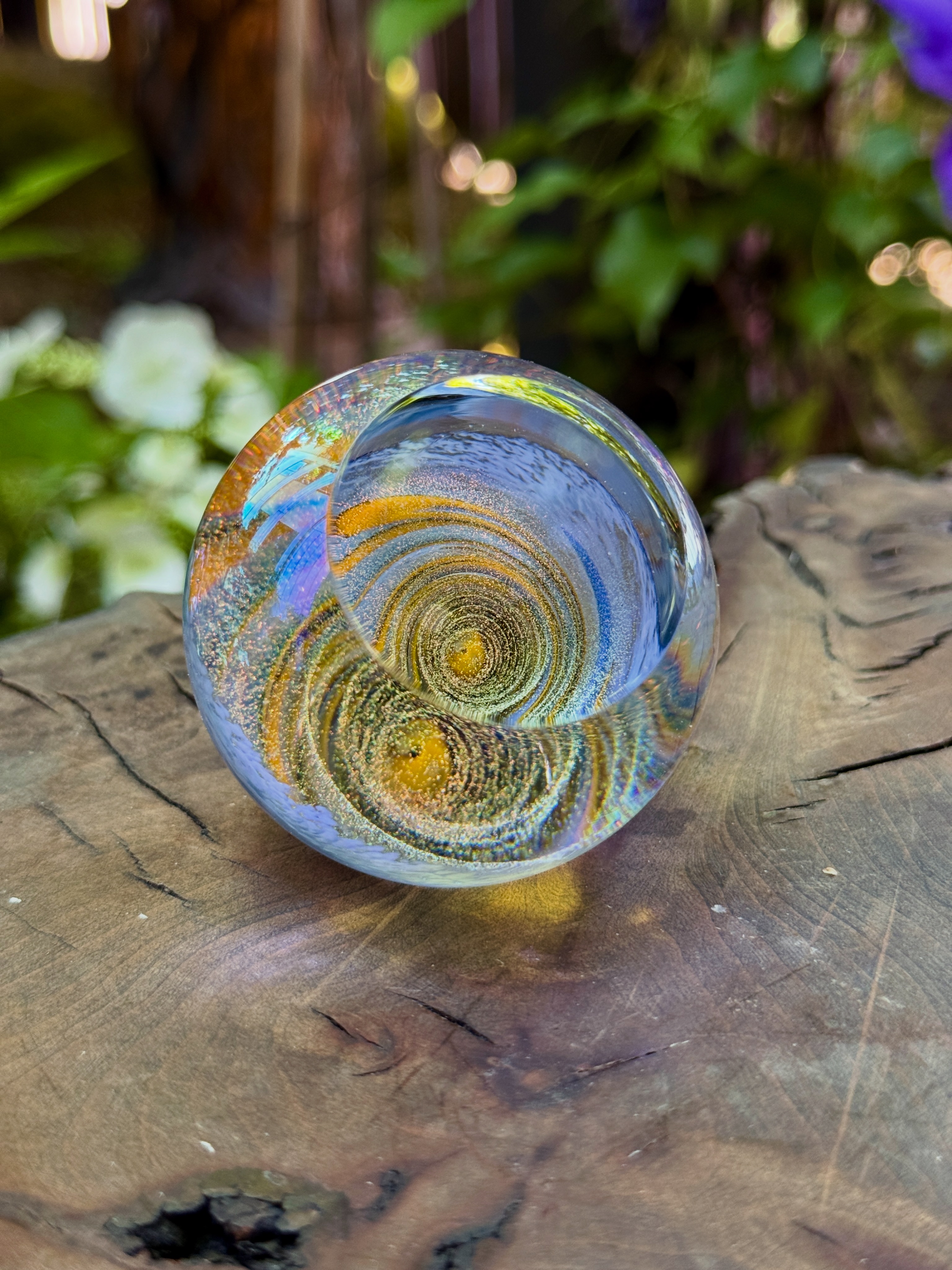 Glass Eye Studio | Seattle WA