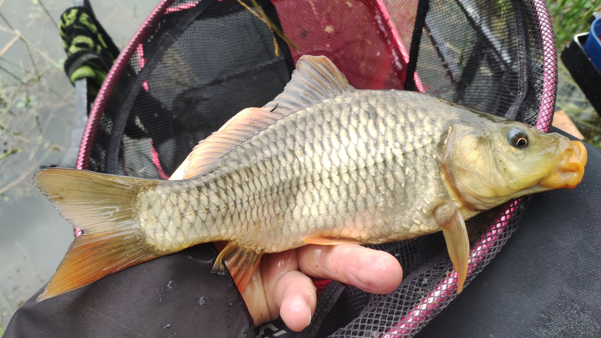 Seb TV Fishing - Seb TV Fishing added a new photo.