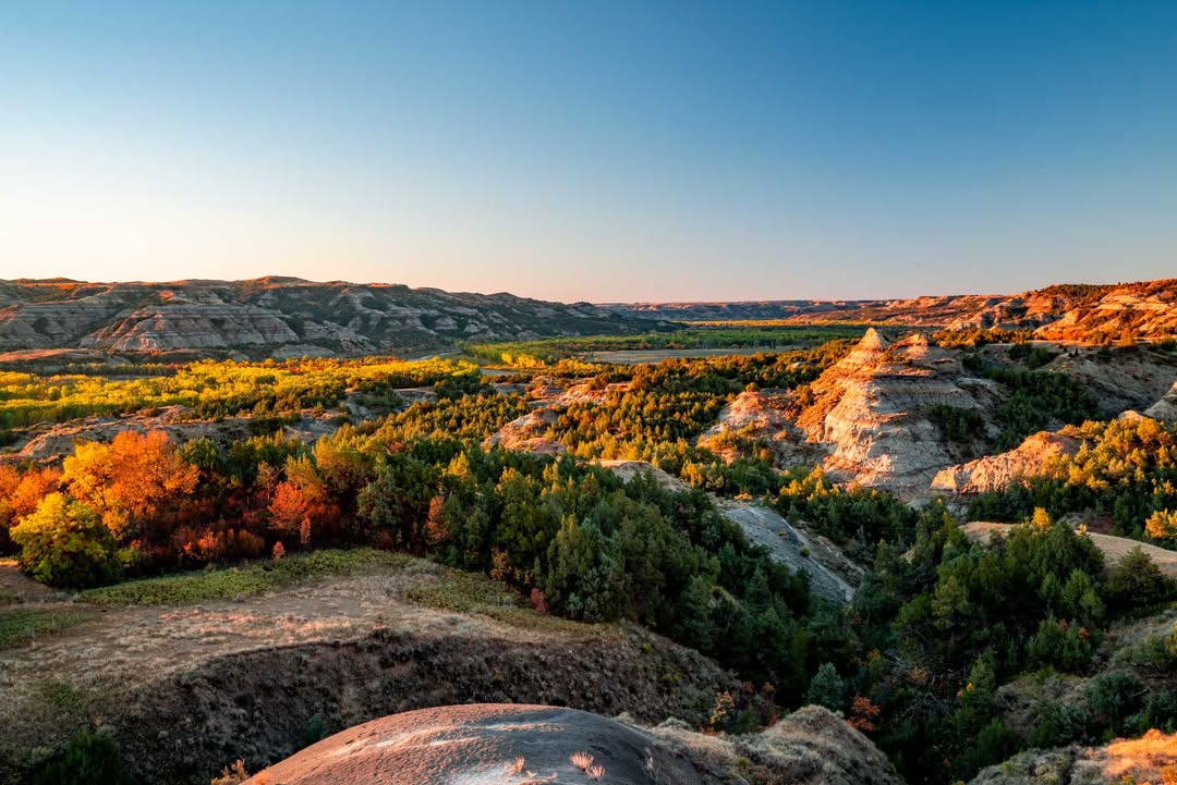 Medora Area Convention & Visitors Bureau | Medora ND