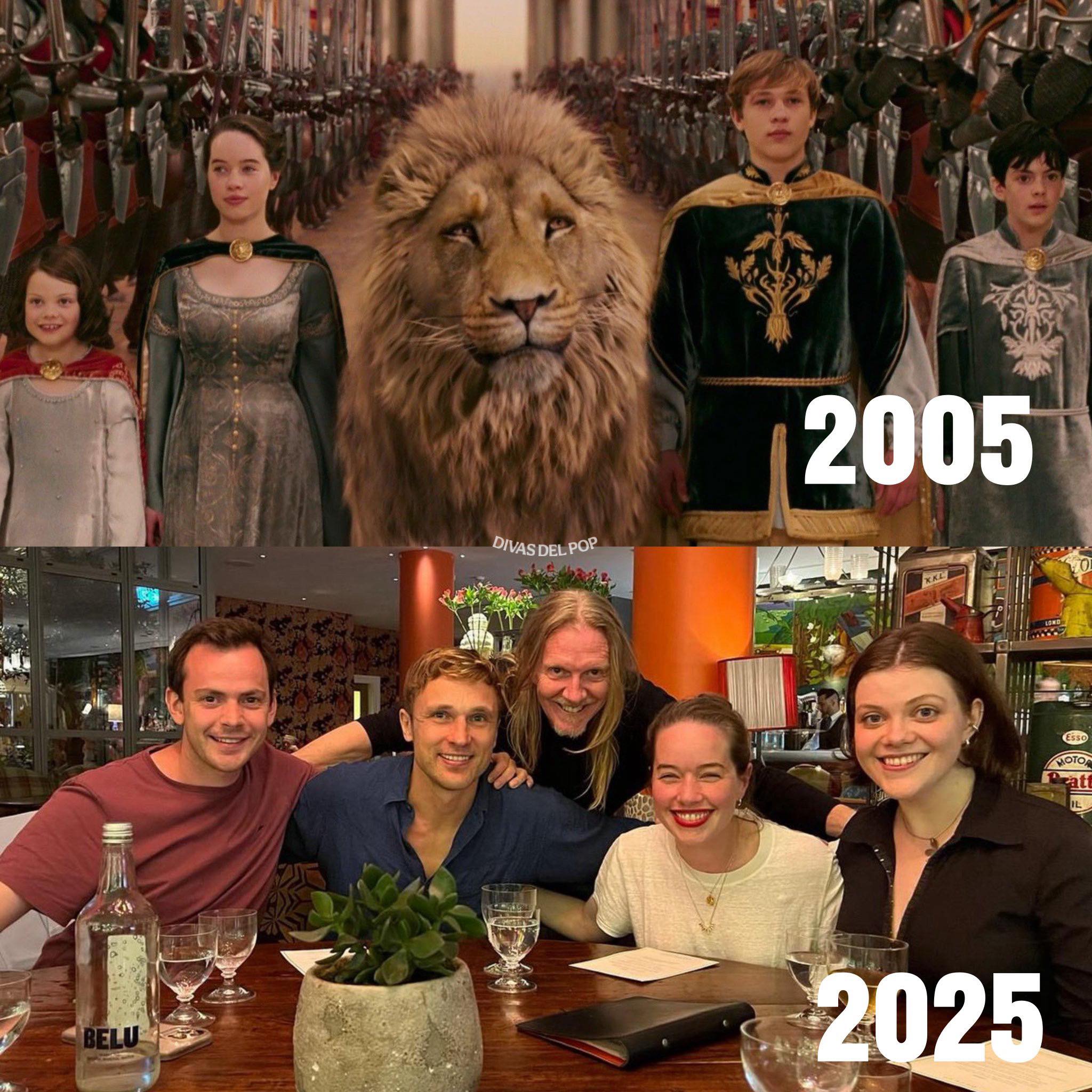 DIVAS - 20 years later… the cast of 'The Chronicles of Narnia' reunites ...