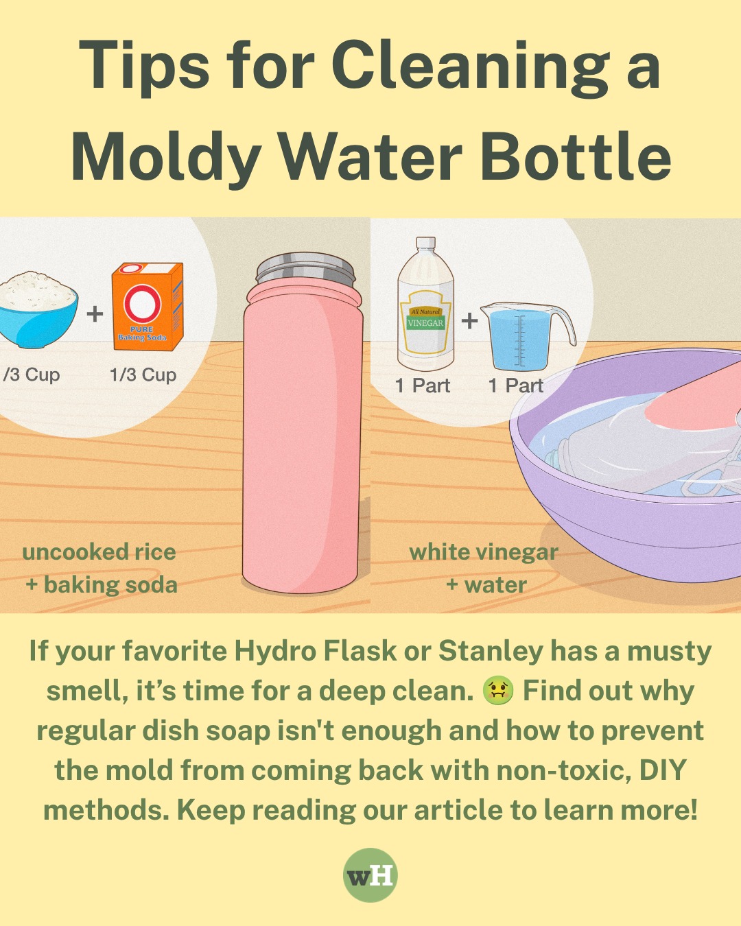 Let's be honest: just rinsing your emotional support water bottle with warm water isn't cutting it anymore. 🤢💦 Get the ultimate guide to deep cleaning your moldy flask here: https://www.wikihow.com