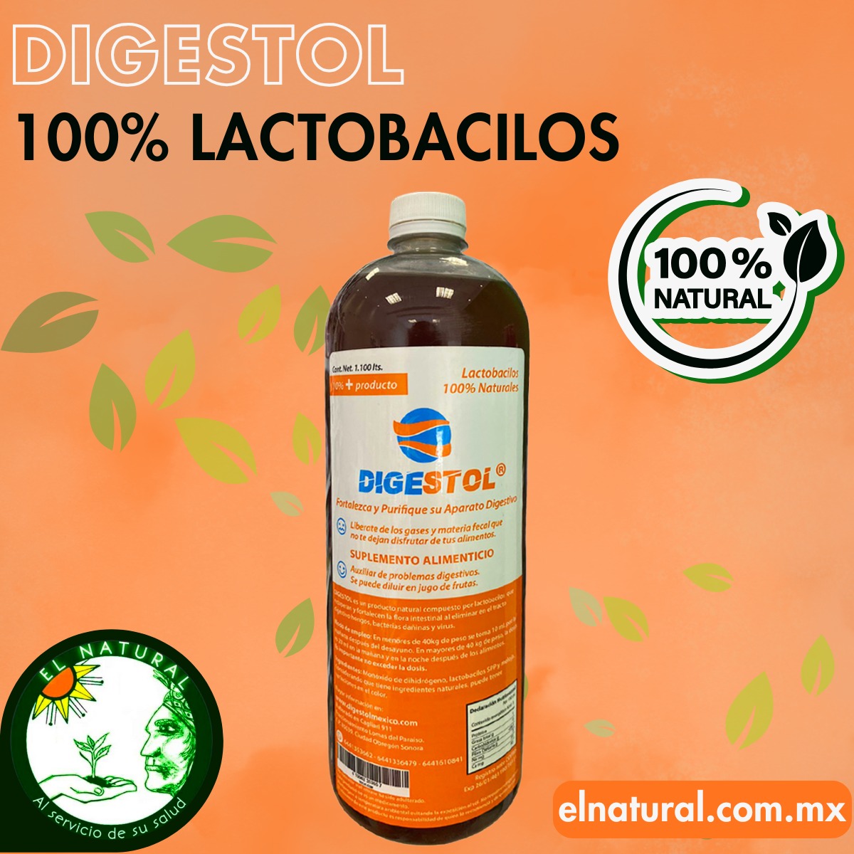 El Natural - ️🍃 Conoce algunos de nuestros productos 100%... | Facebook