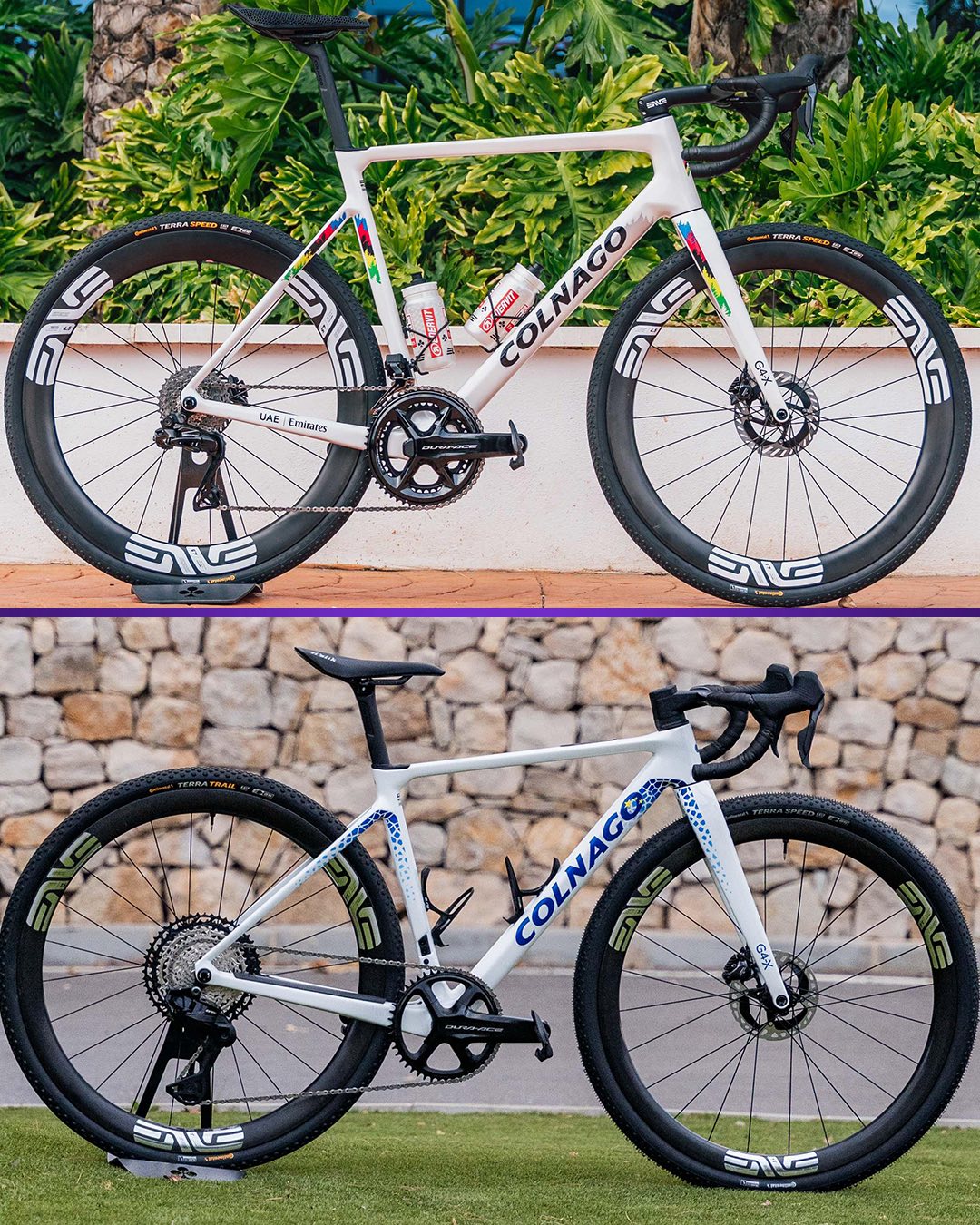 sharan dachzelt fürs Auto Marke:Campagnolo Winged Wheel Schwarz Camping in Holland mit cargoCategoryEn:Two-wheeled cargo