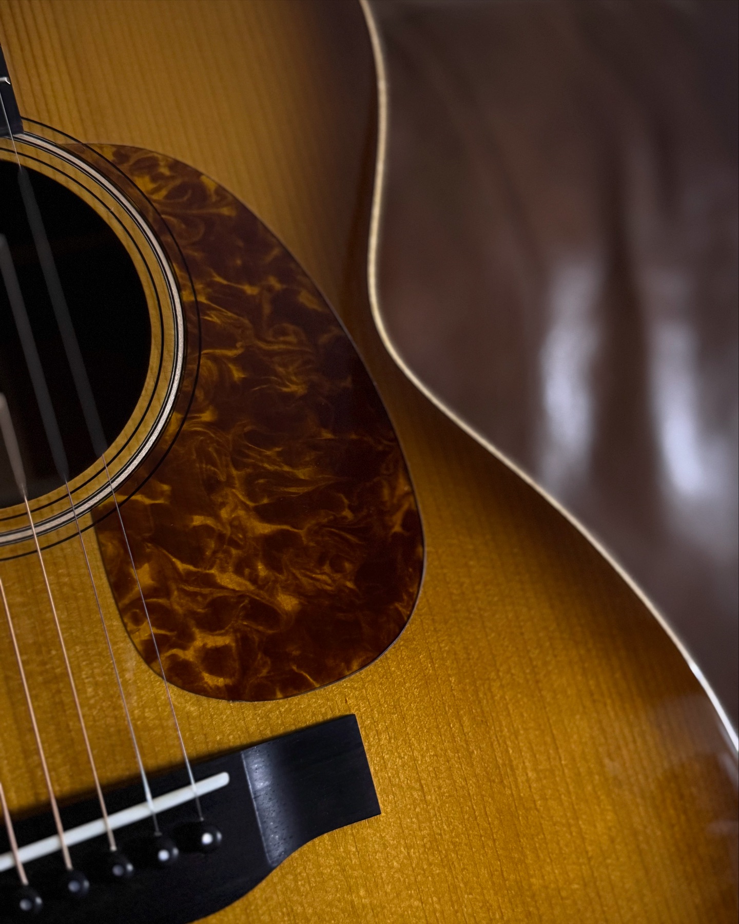 Max Rosa Guitars