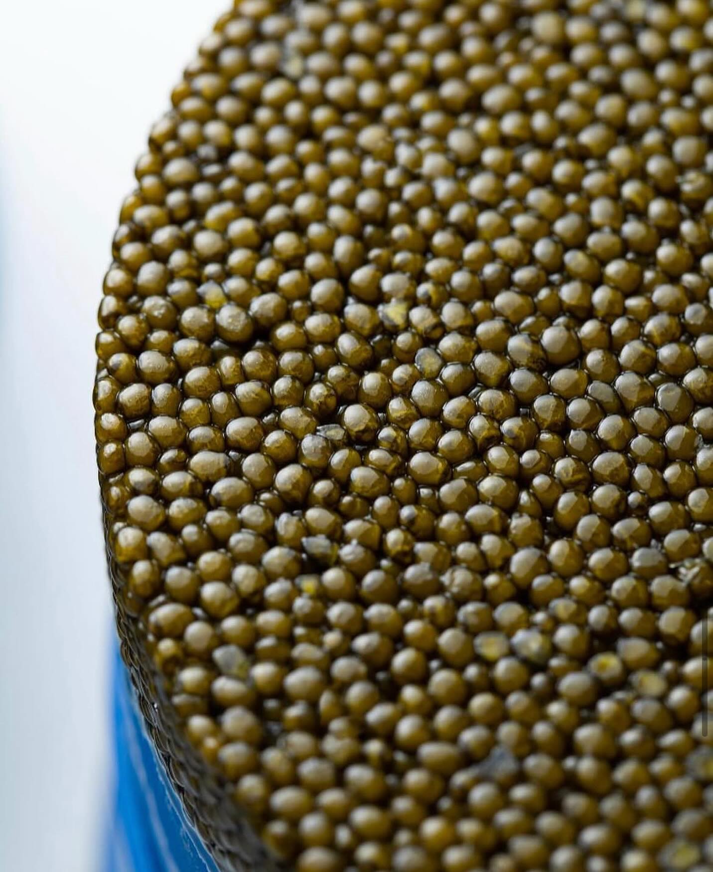 Regiis Ova Caviar