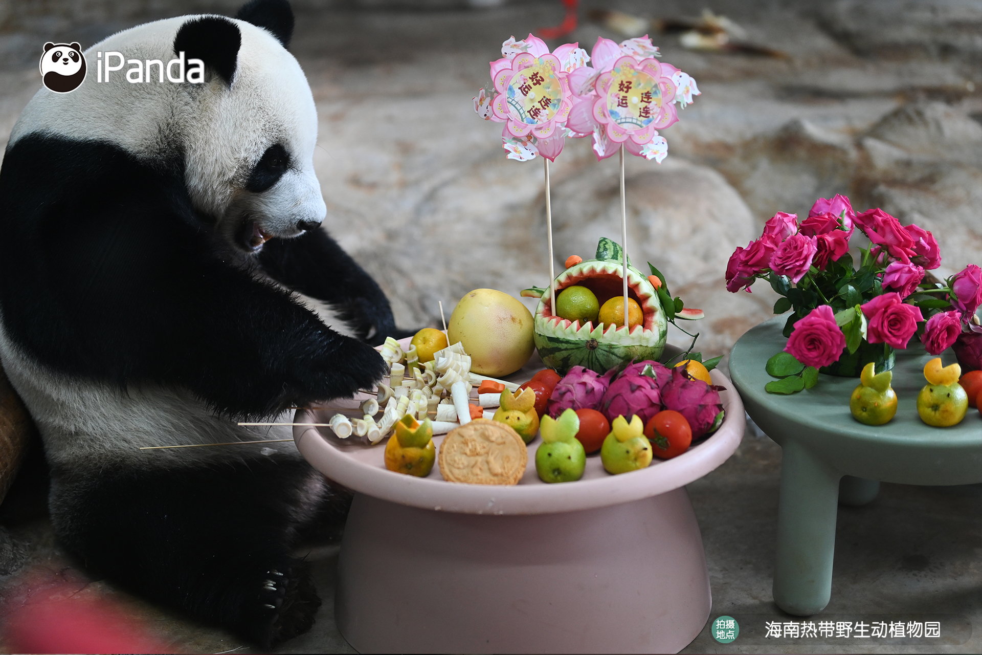 Throwback to our pandas' cozy Mid-Autumn party! From crunching on