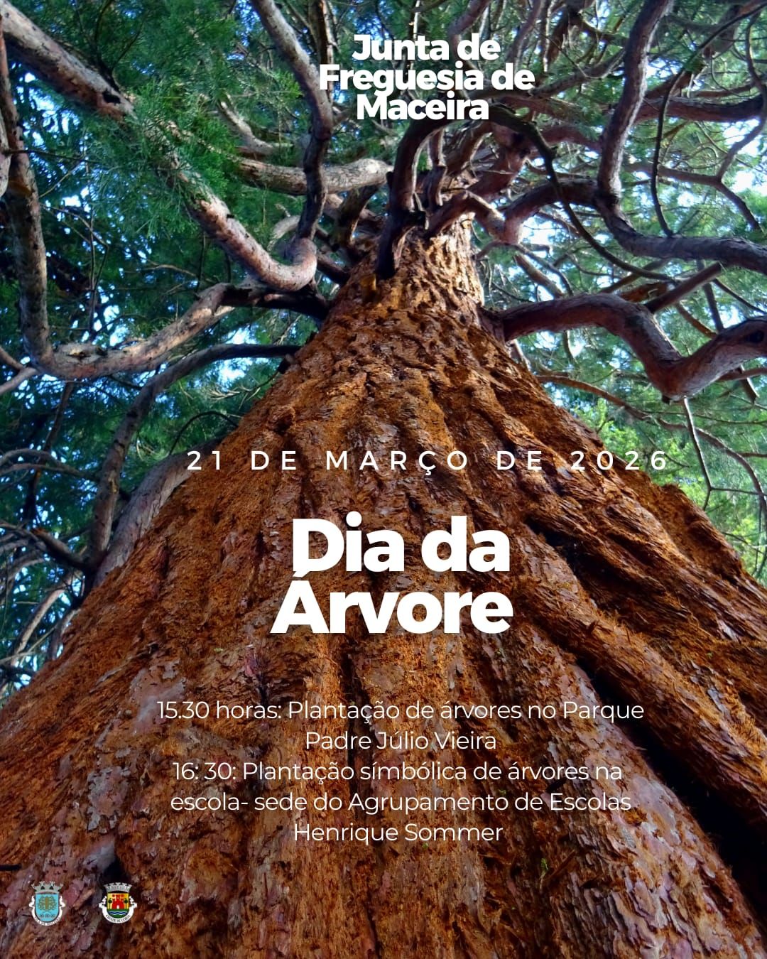 Junta de Freguesia de Maceira | Maceira