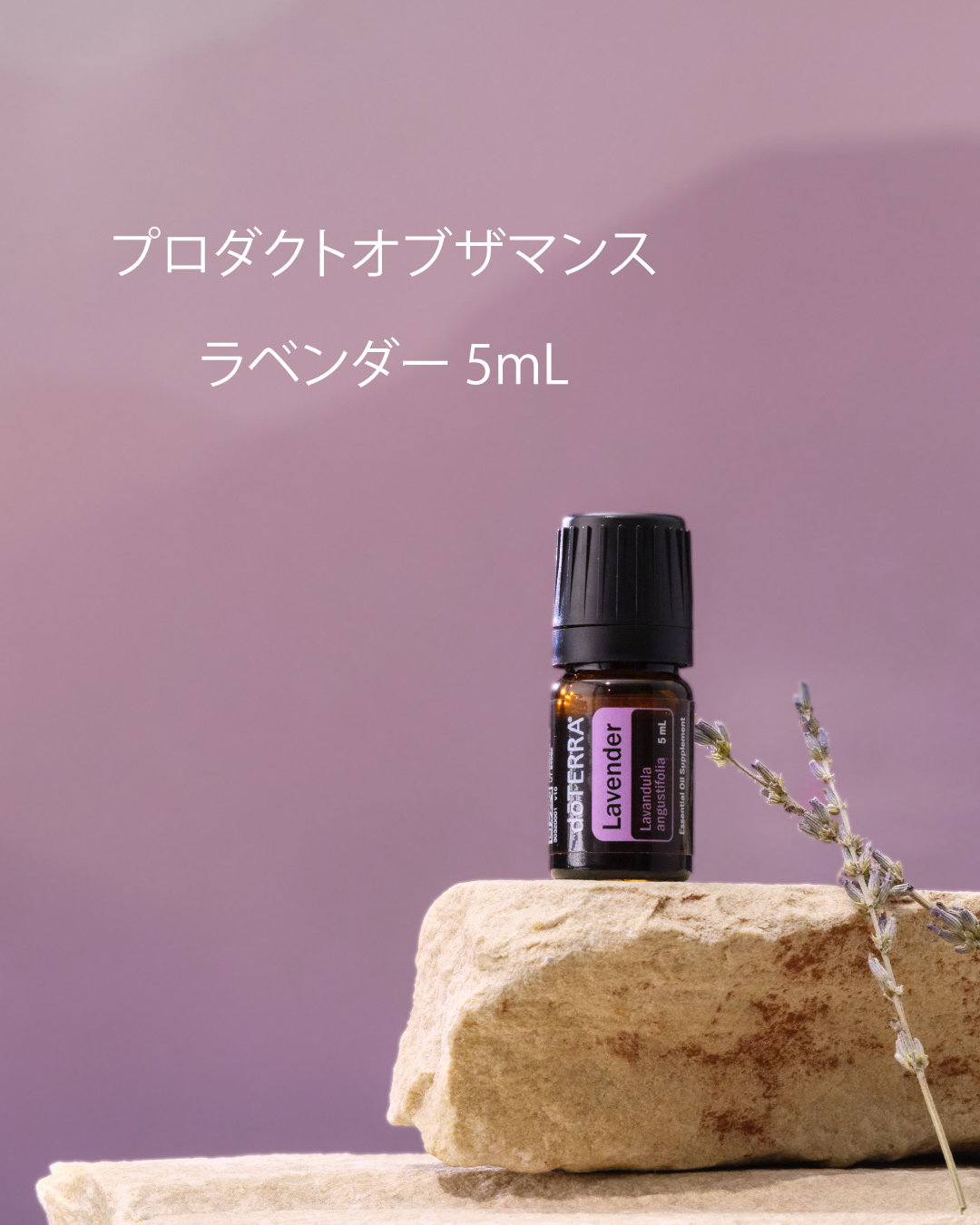4月のプロモーション情報 💧 プロダクトオブザマンス ラベンダー 5mL