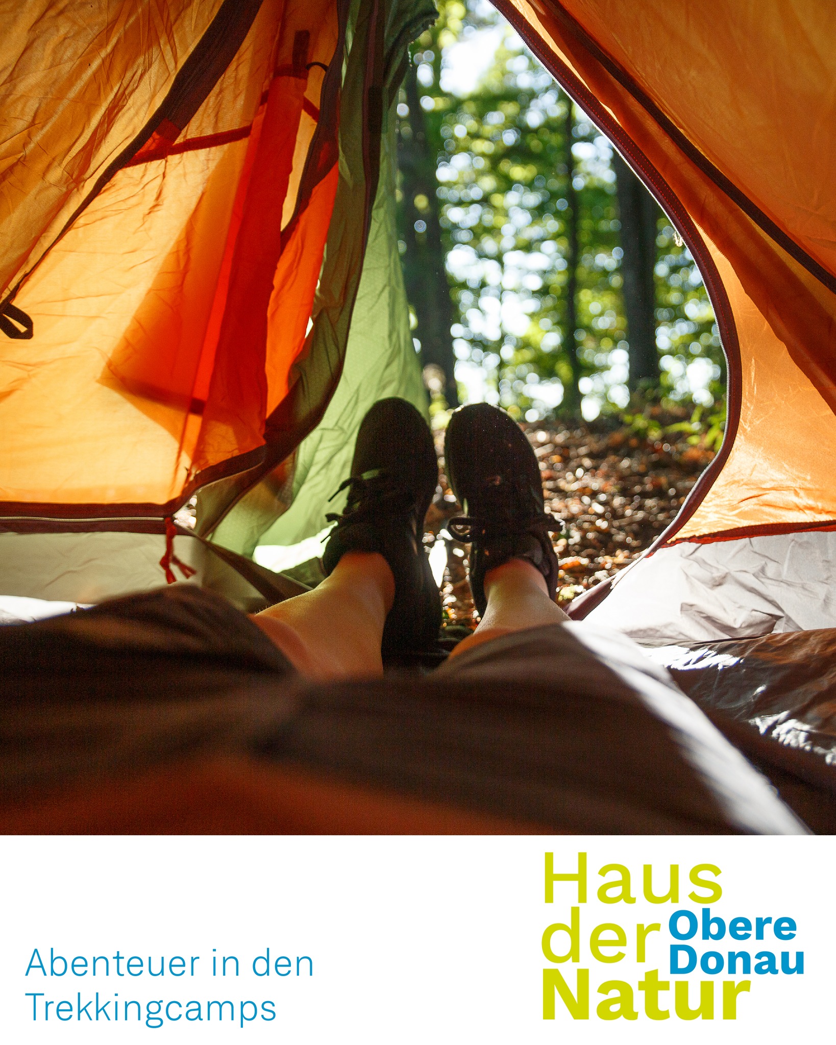 zelt für 20 personen mieten Unterkunft 16-20 Frühstücksbrettchen Size:19 mm Homebox Homelab - tent
