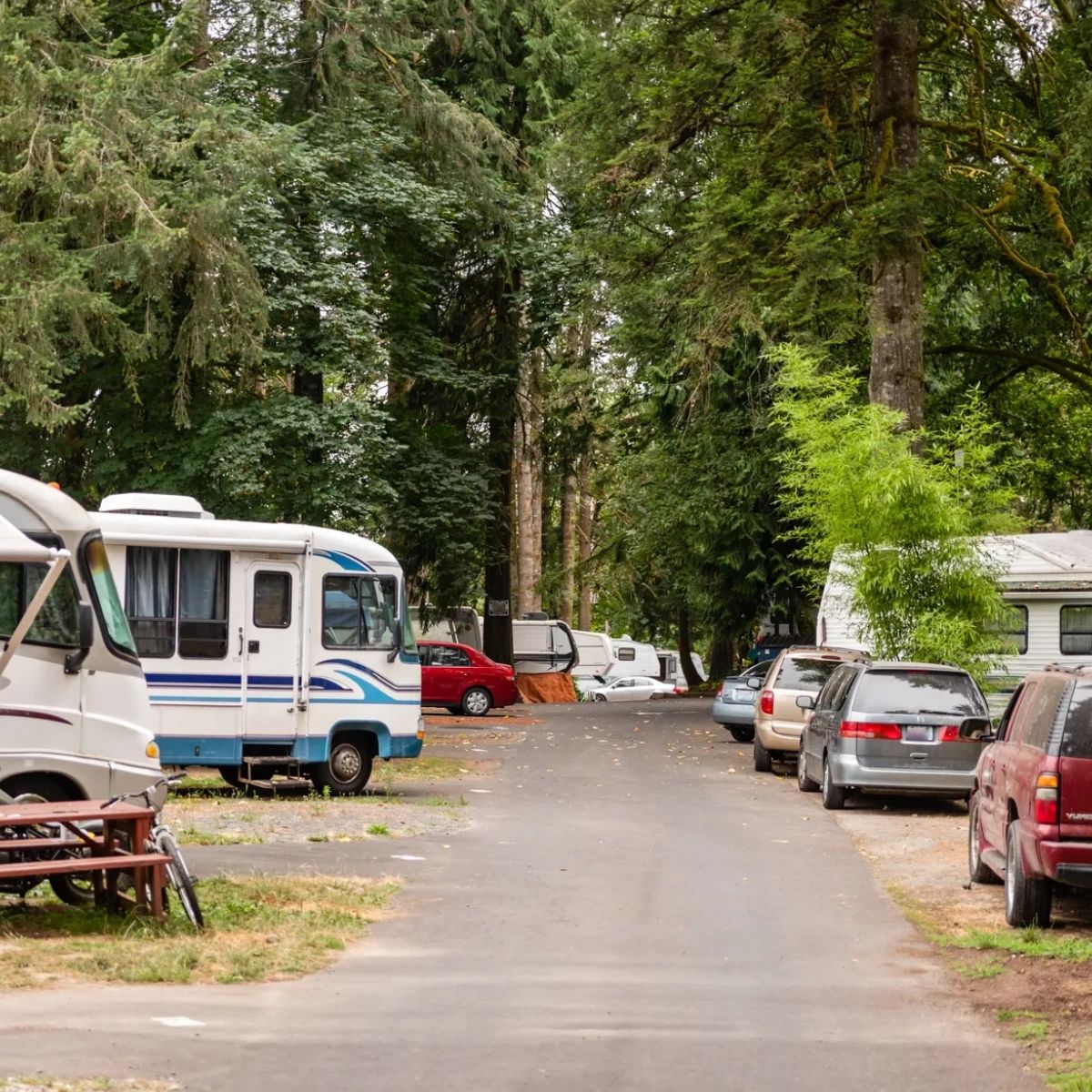 Lewis River RV Park and Country Store