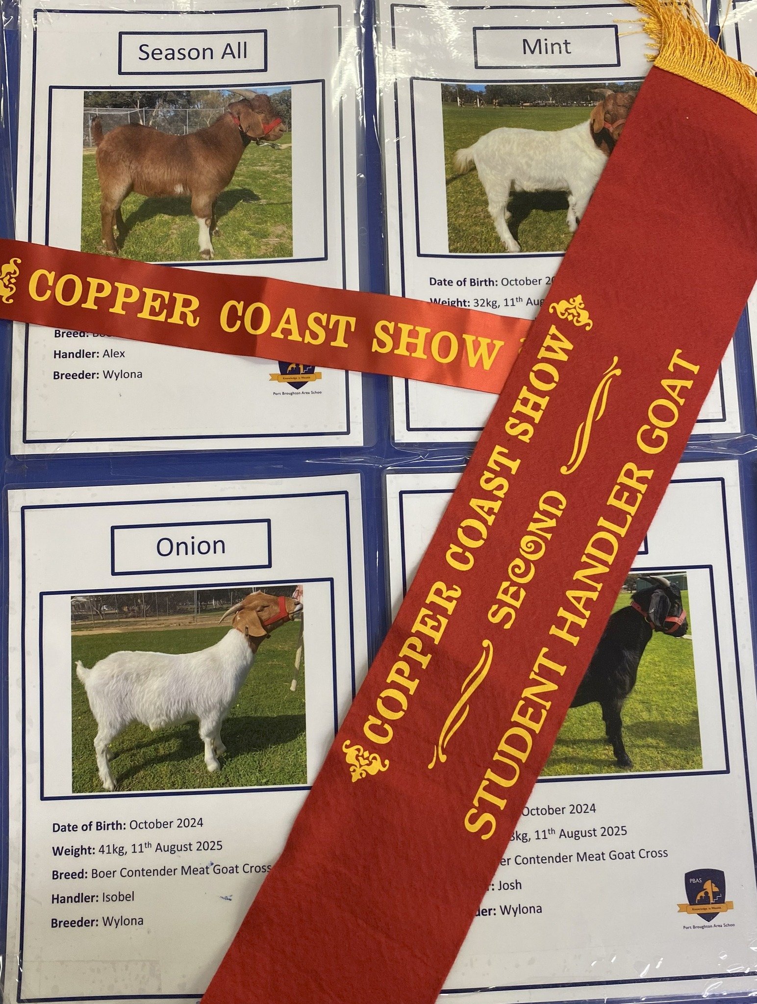 Copper Coast Show | Kadina SA