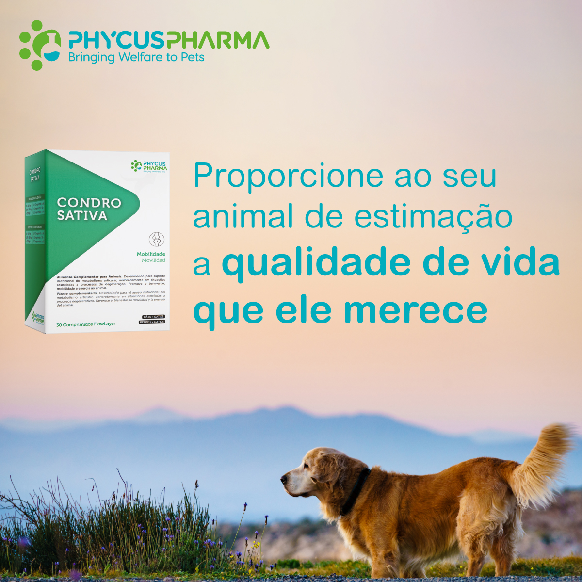 Phycus - A Phycus Pharma apresenta o CONDROSATIVA: um complexo inovador ...