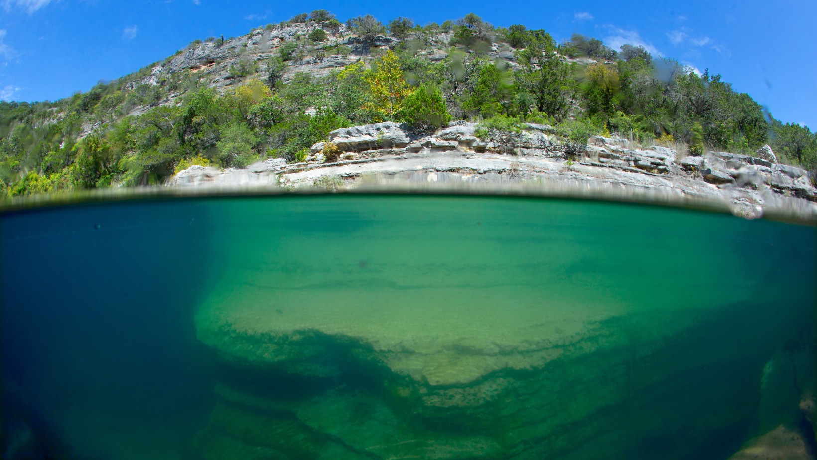 💧 Don’t miss the Water for... - Texas Water Development Board | Facebook