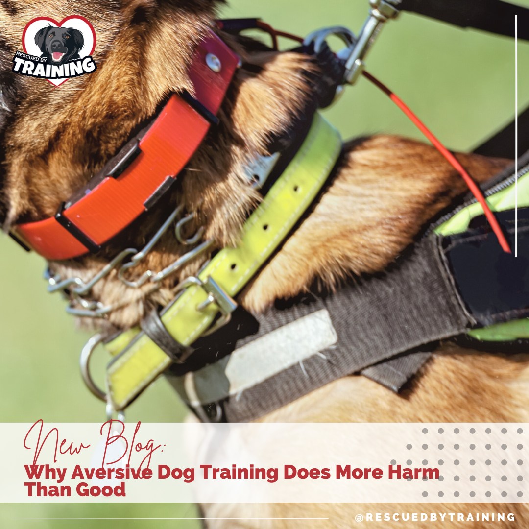 Did you know that prong collars,... - Rescued By Training | Facebook
