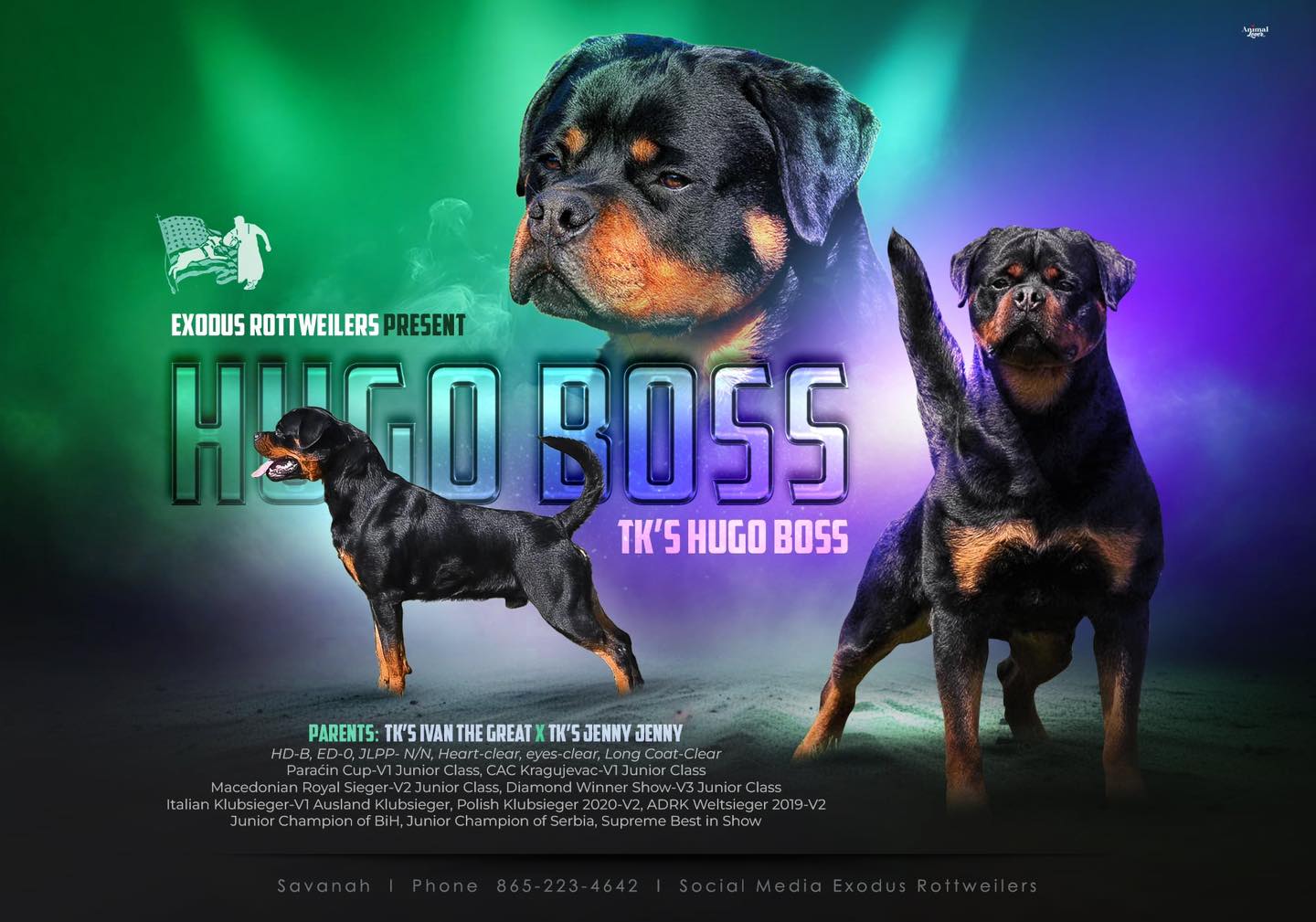 Exodus Rottweilers