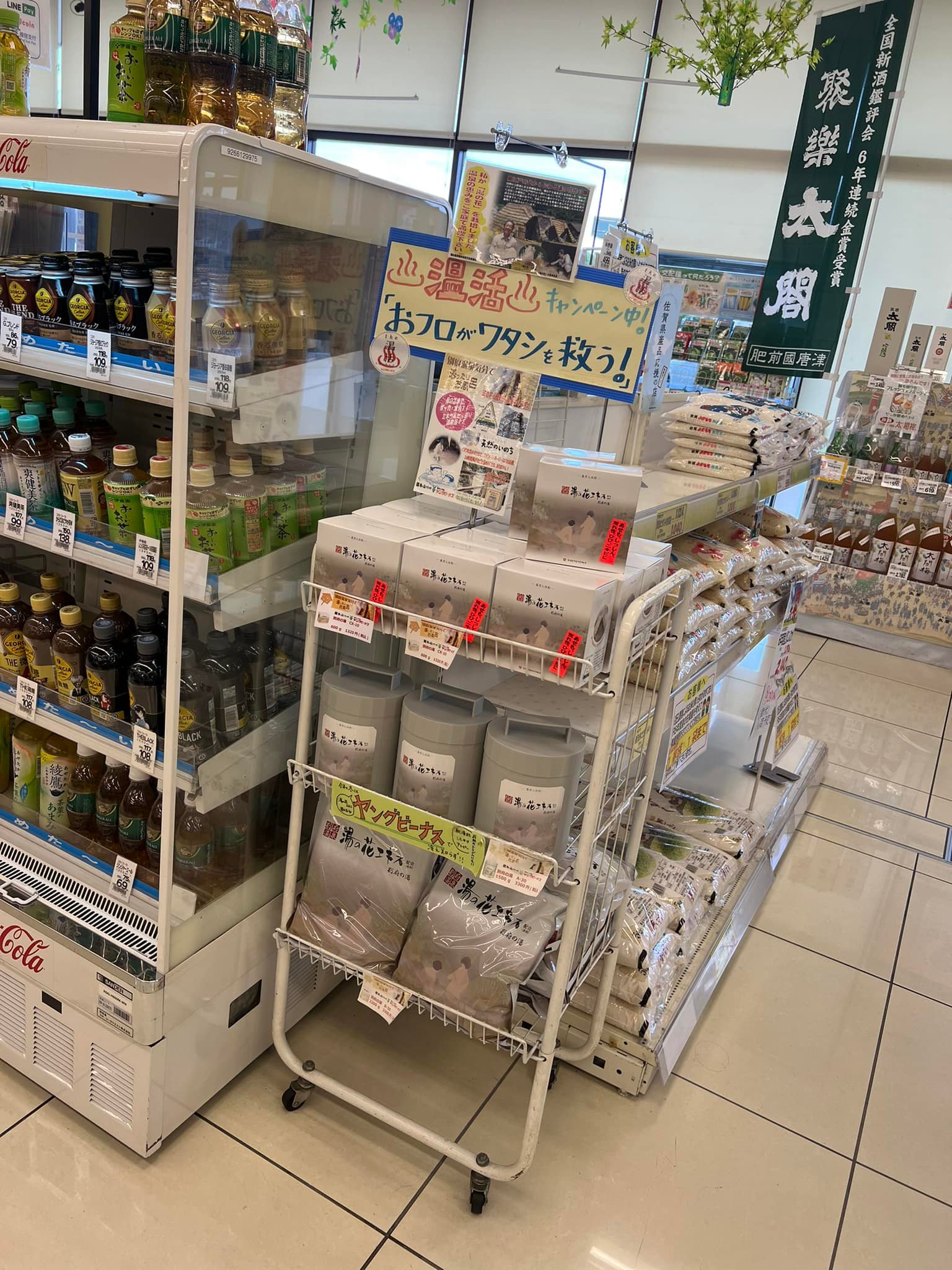 ヤング ビーナス 唐津