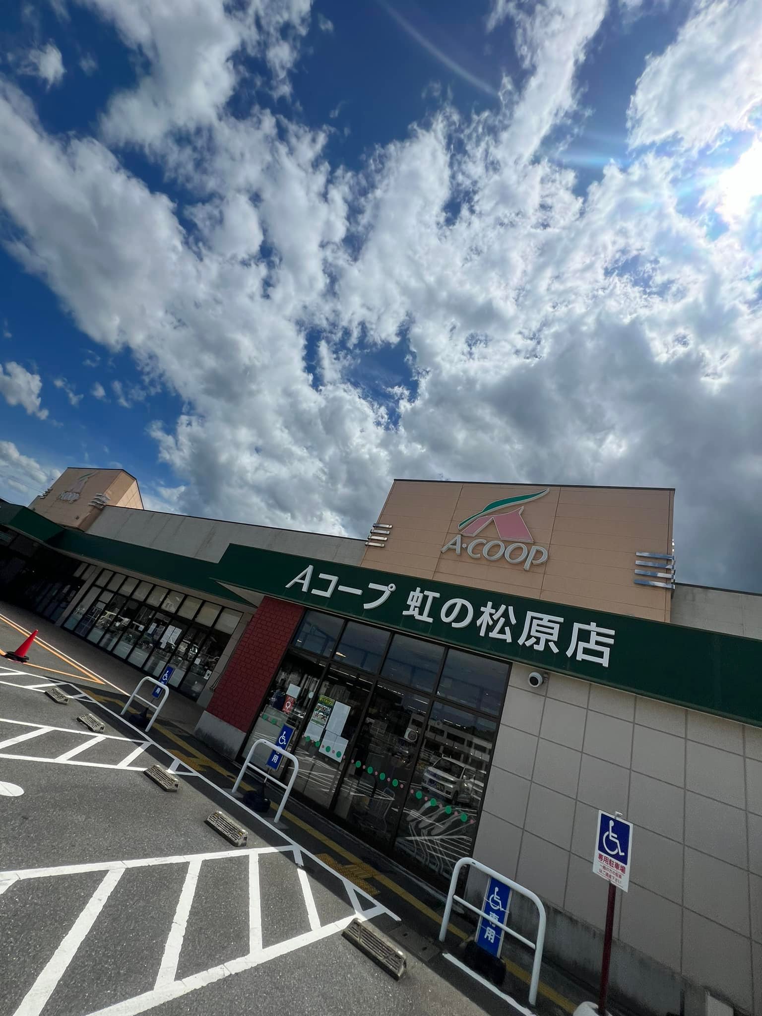 ヤング ビーナス 唐津