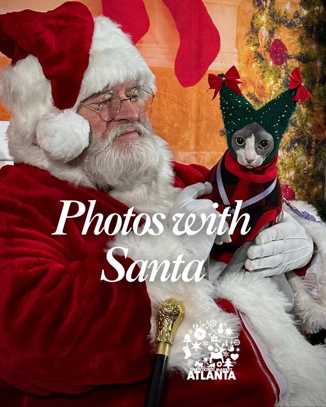 Atlanta - Furry + festive. Pet Pics with Santa, Fridays 5–7pm. Plan ...