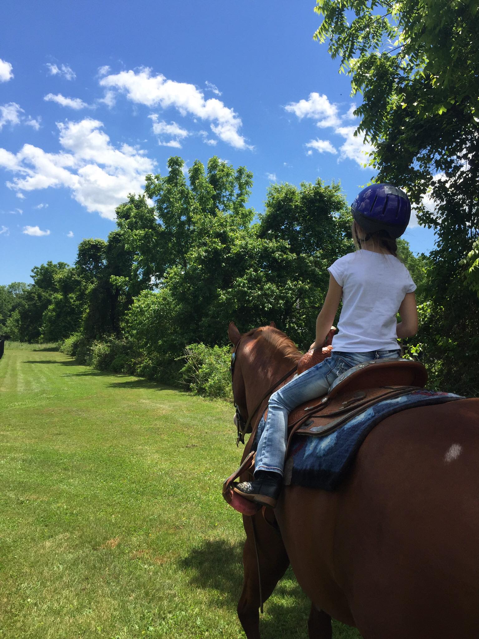 Rusty Star Ranch | Columbus NJ
