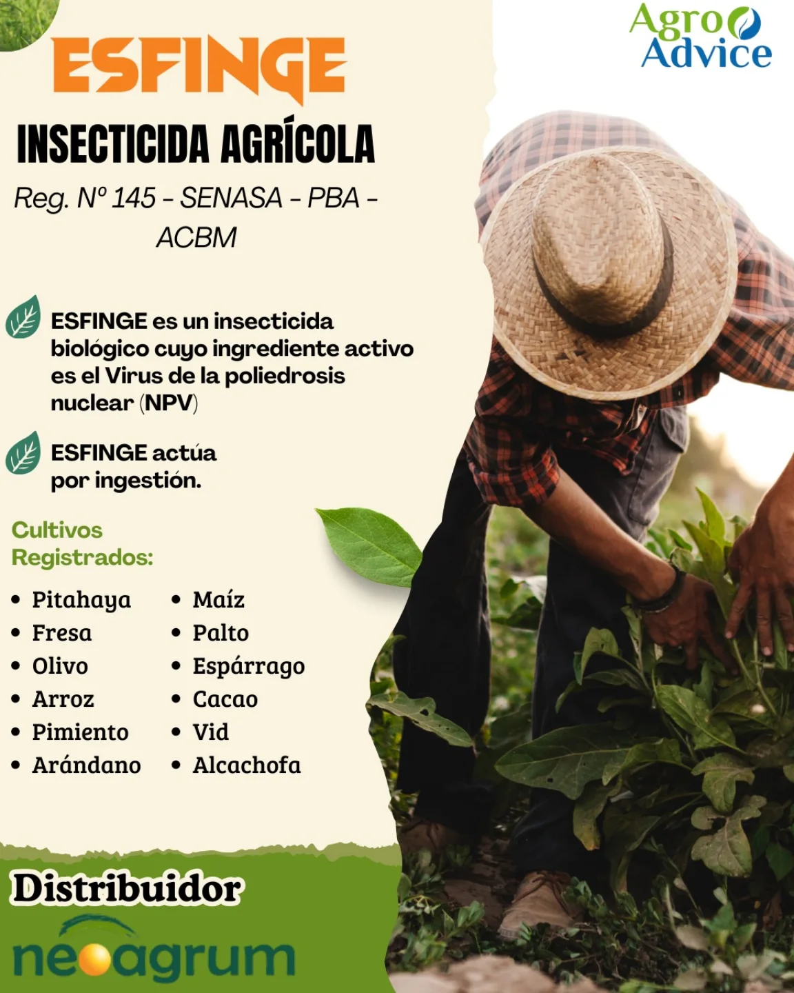 Agro - Protege tu cultivo con ESFINGE Insecticida biológico a base del ...