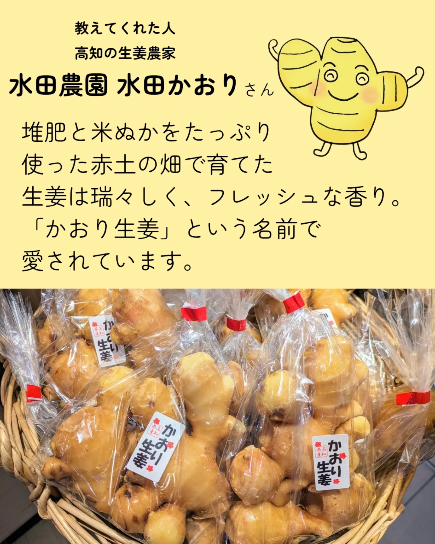 水田さんの生姜が入荷しましたので、こちら再掲します? 【はちみつ 