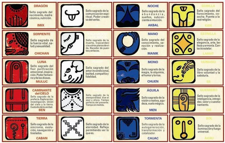 Kin Maya | León