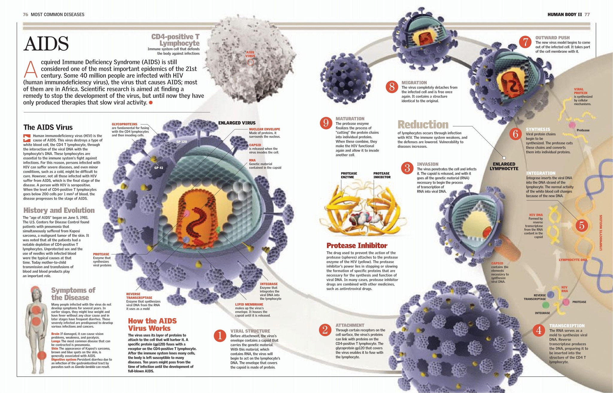 Ceres Science - AIDS by Britannica Illustrated Science... | Facebook