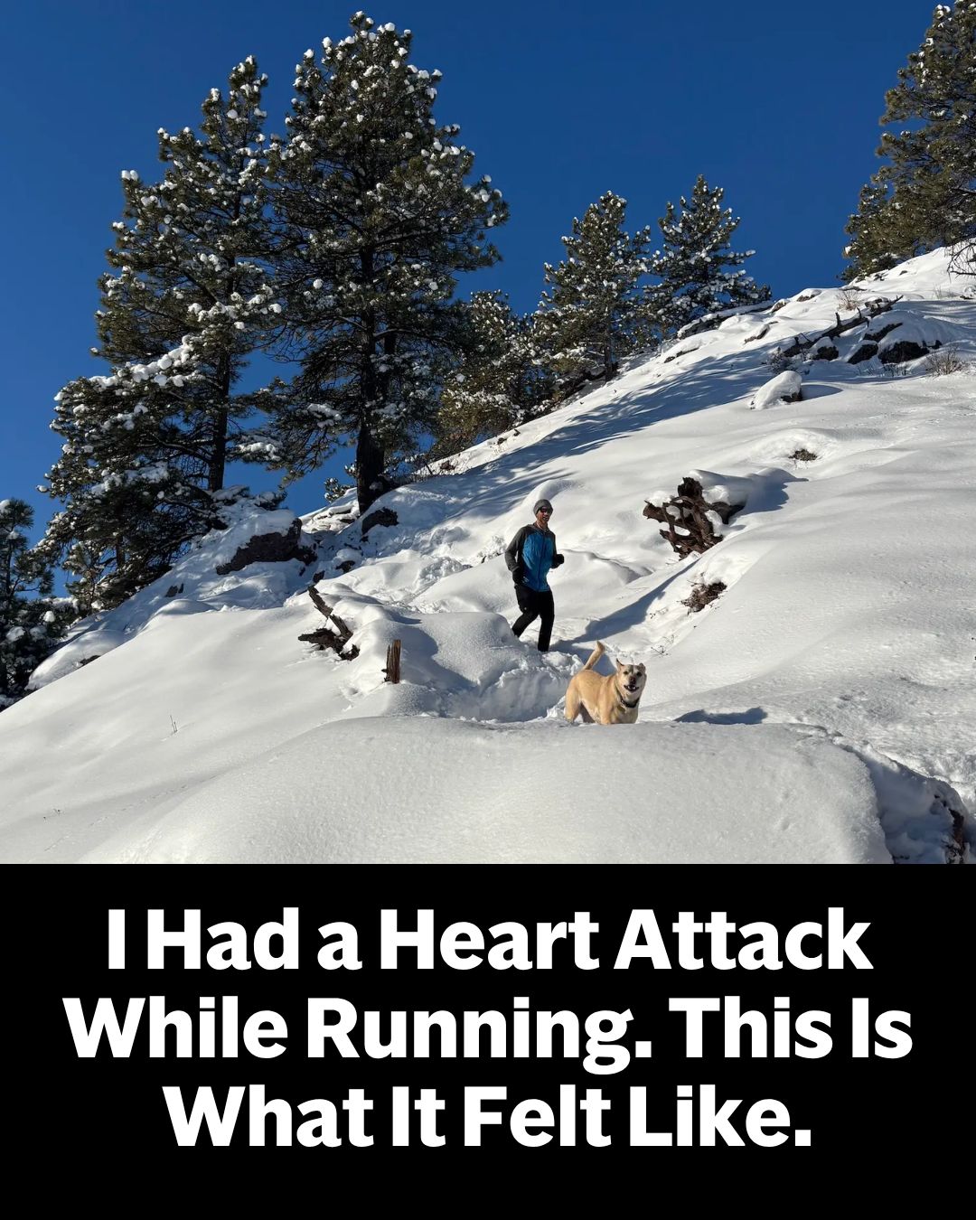 There was no dramatic collapse—just a gradual loss of control on a ...