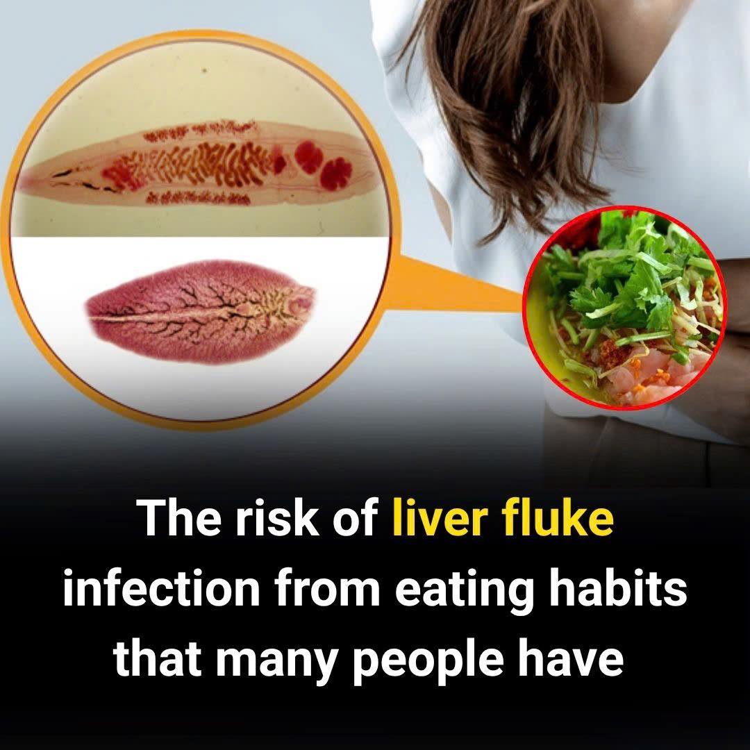 Feedy How Your Daily Eating Habits Could Expose You To Photo Inspiration