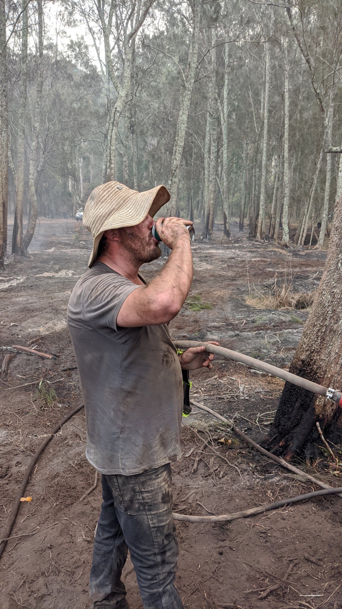 Greater Mogo Fire Recovery