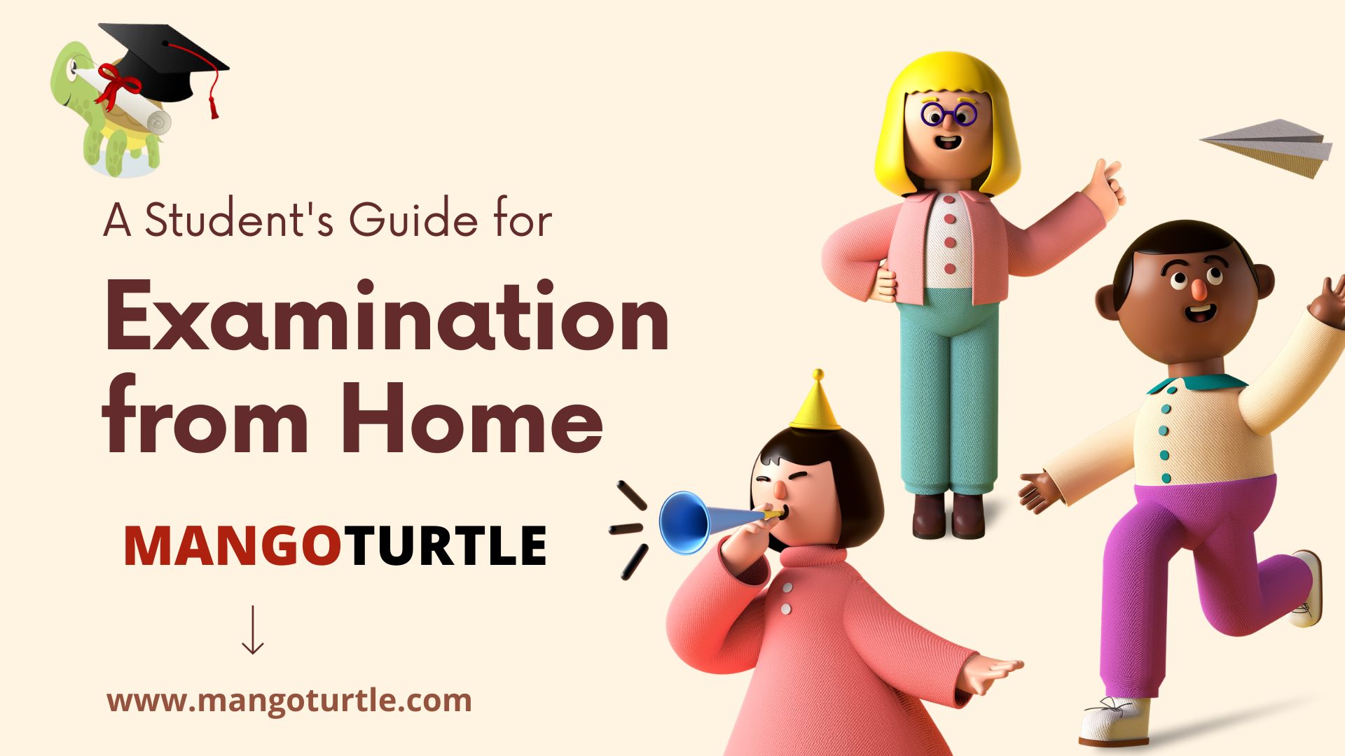 Mango Turtle - Home