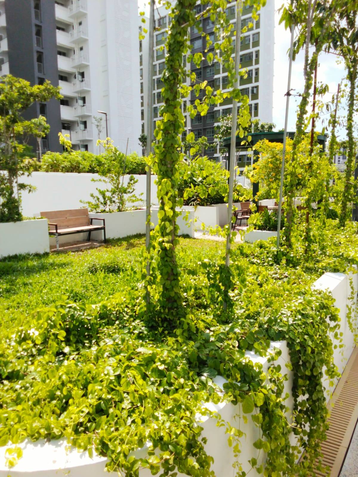 PDAA Design | Singapore Singapore