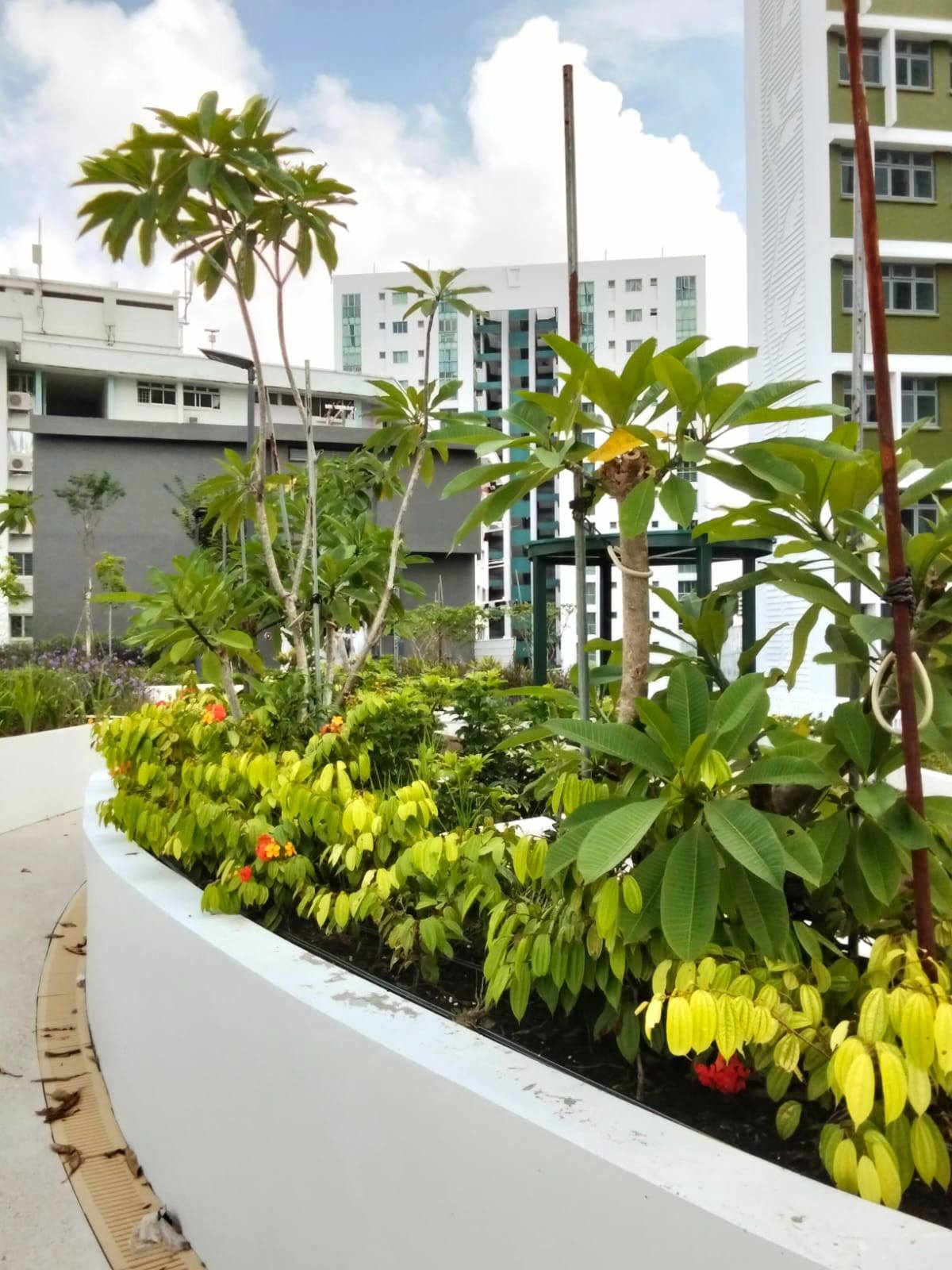 PDAA Design | Singapore Singapore