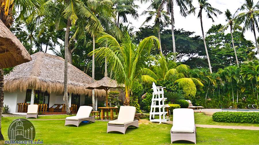Dumaguete City - Negros... - Dumaguete City - Negros Oriental