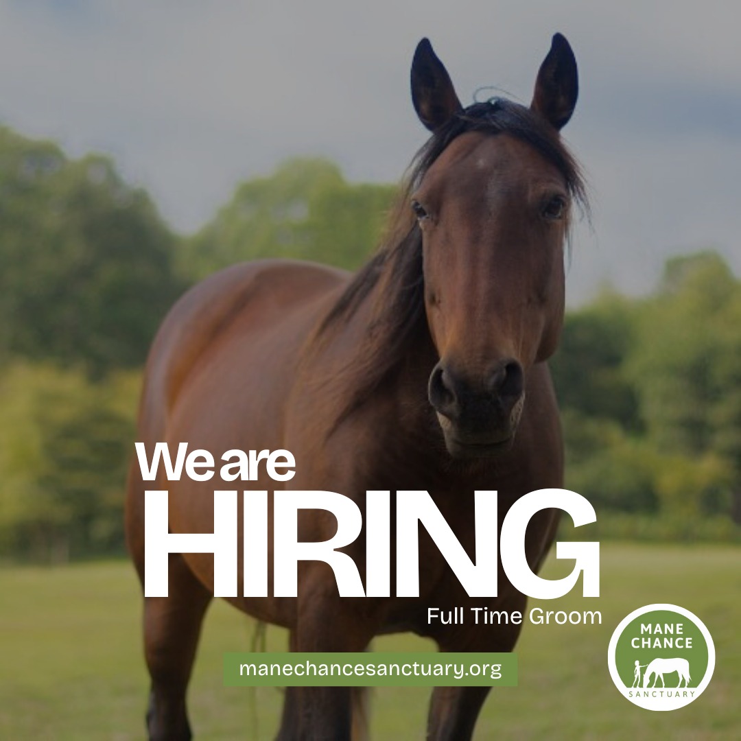 We are recruiting for a full-time... - Mane Chance Sanctuary | Facebook