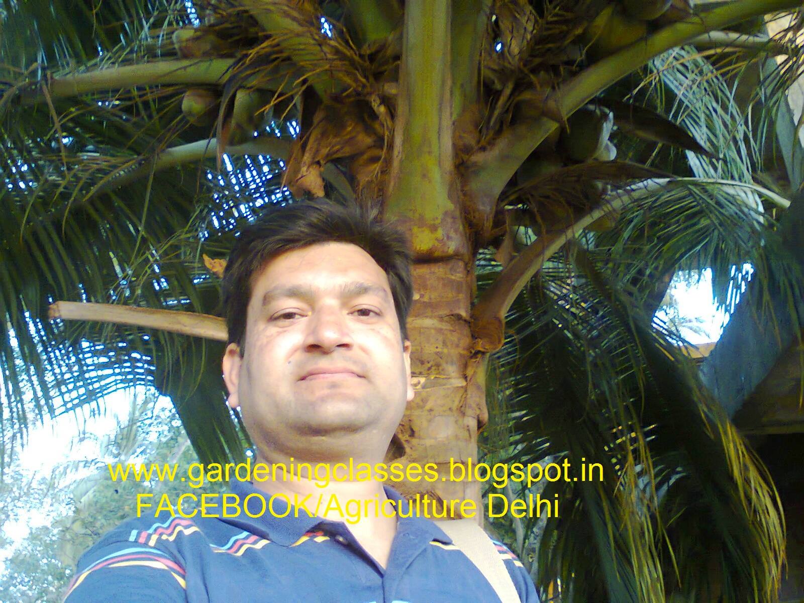 Picture of insects keede makode keet garden pests