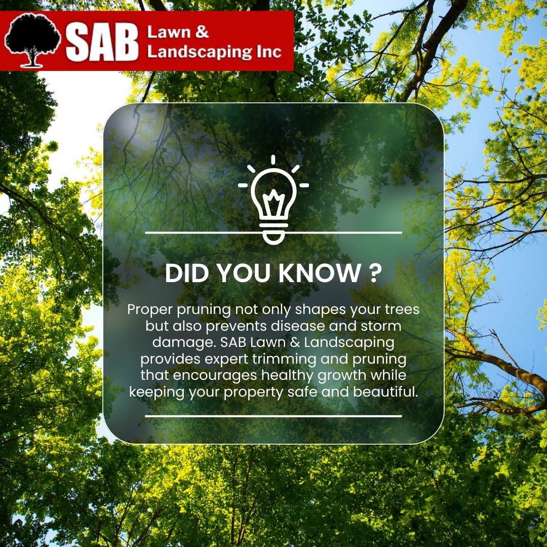 Did you know? Proper... - SAB Lawn & Landscaping, Inc. | Facebook