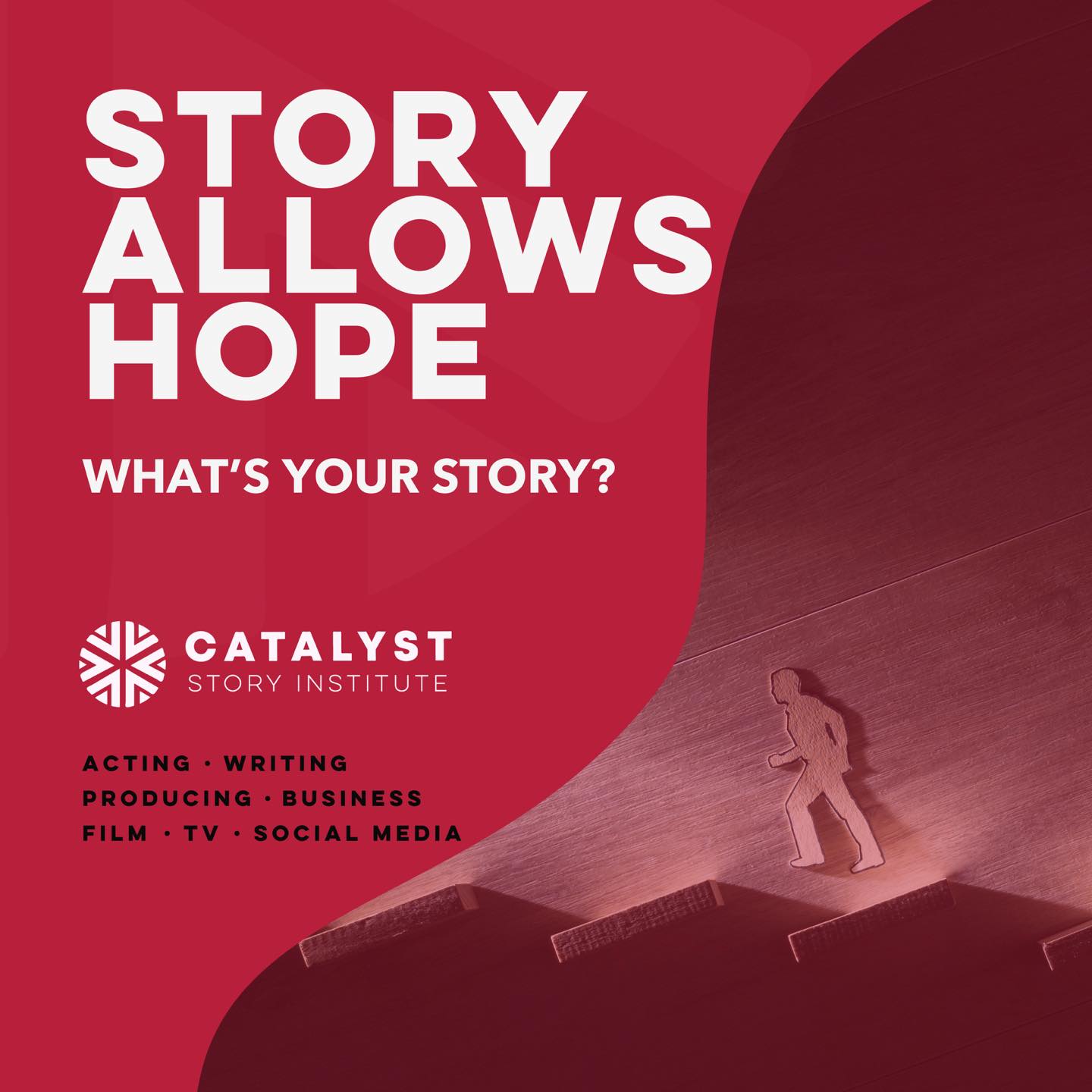 Catalyst Story Institute USA
