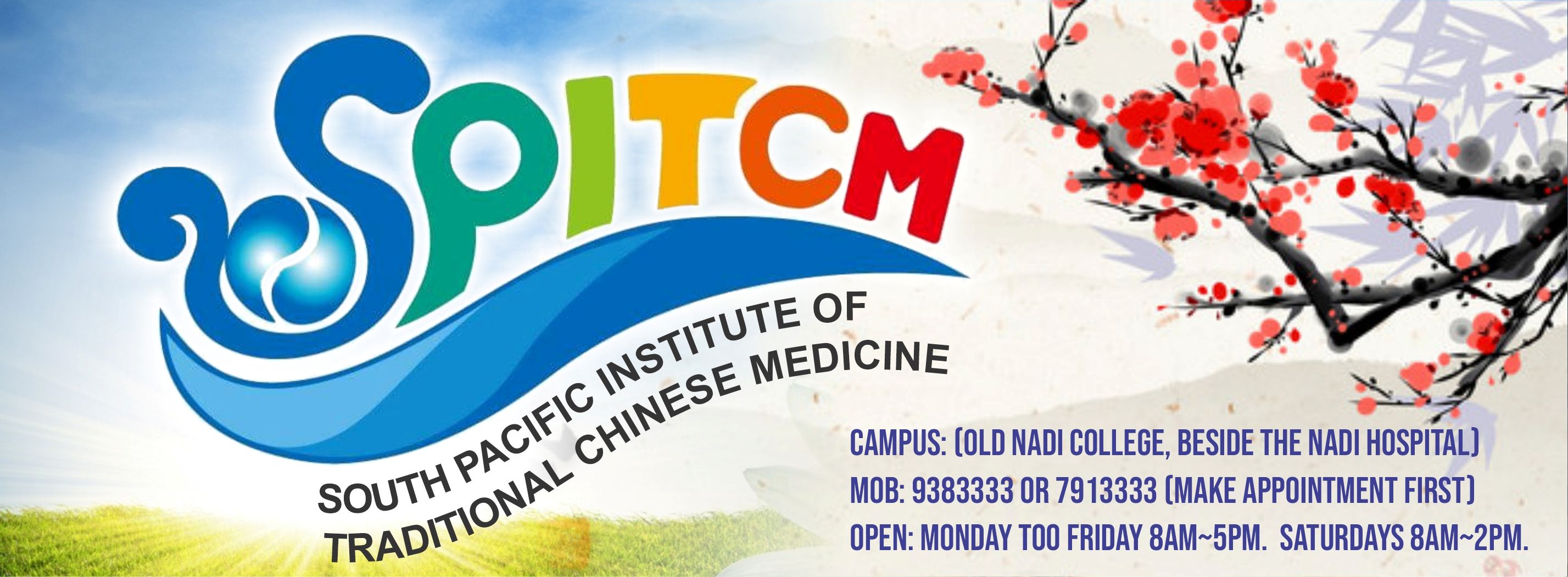 South Pacific Institute of Traditional Chinese Medicine | Nadi