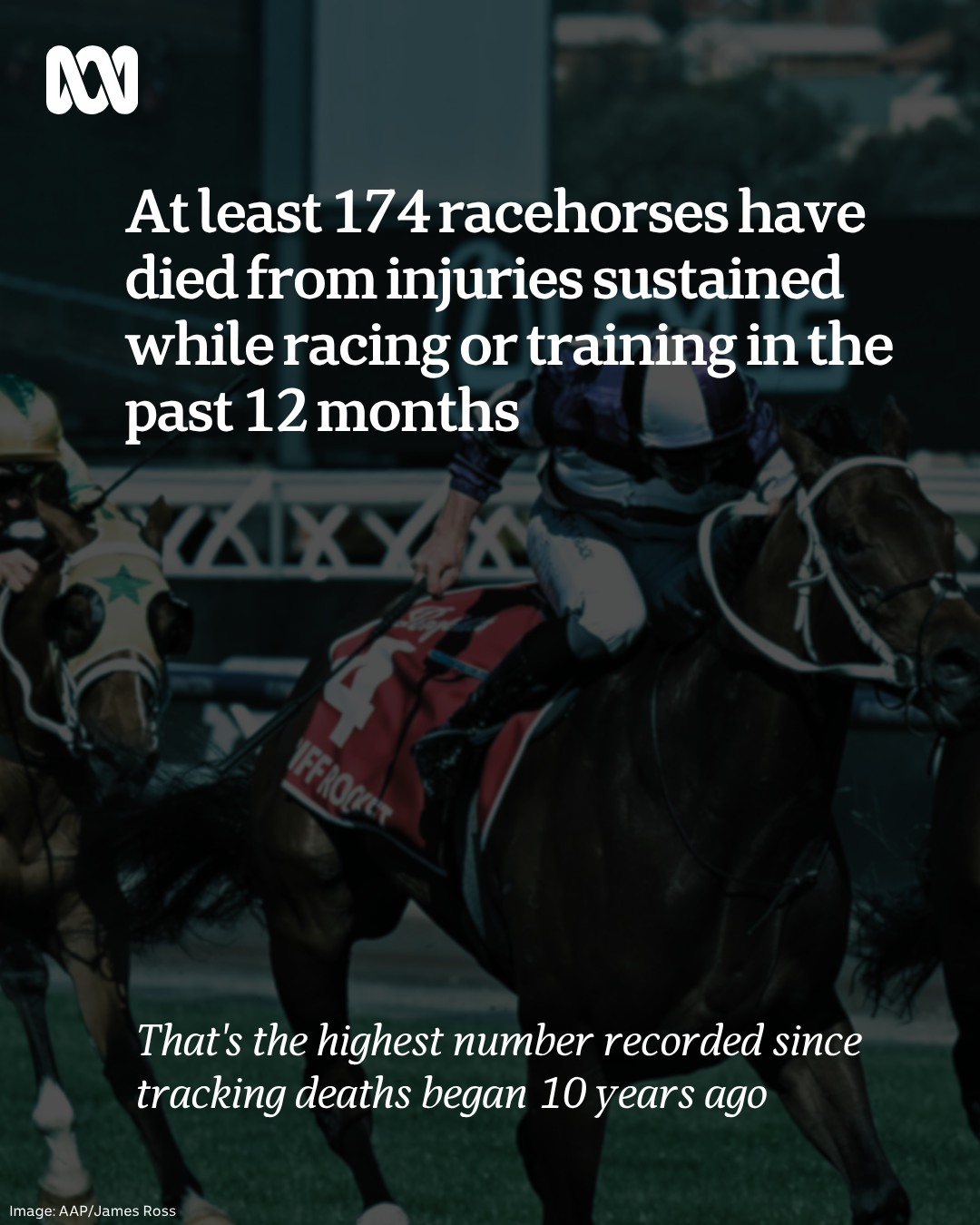 ABC News - At least 174 thoroughbred racehorses died as a... | Facebook