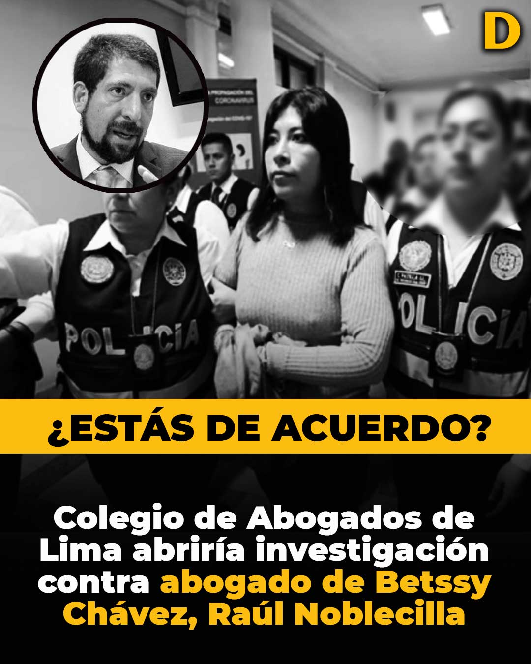 El - El decano del Colegio de Abogados de Lima (CAL), Raúl Canelo ...