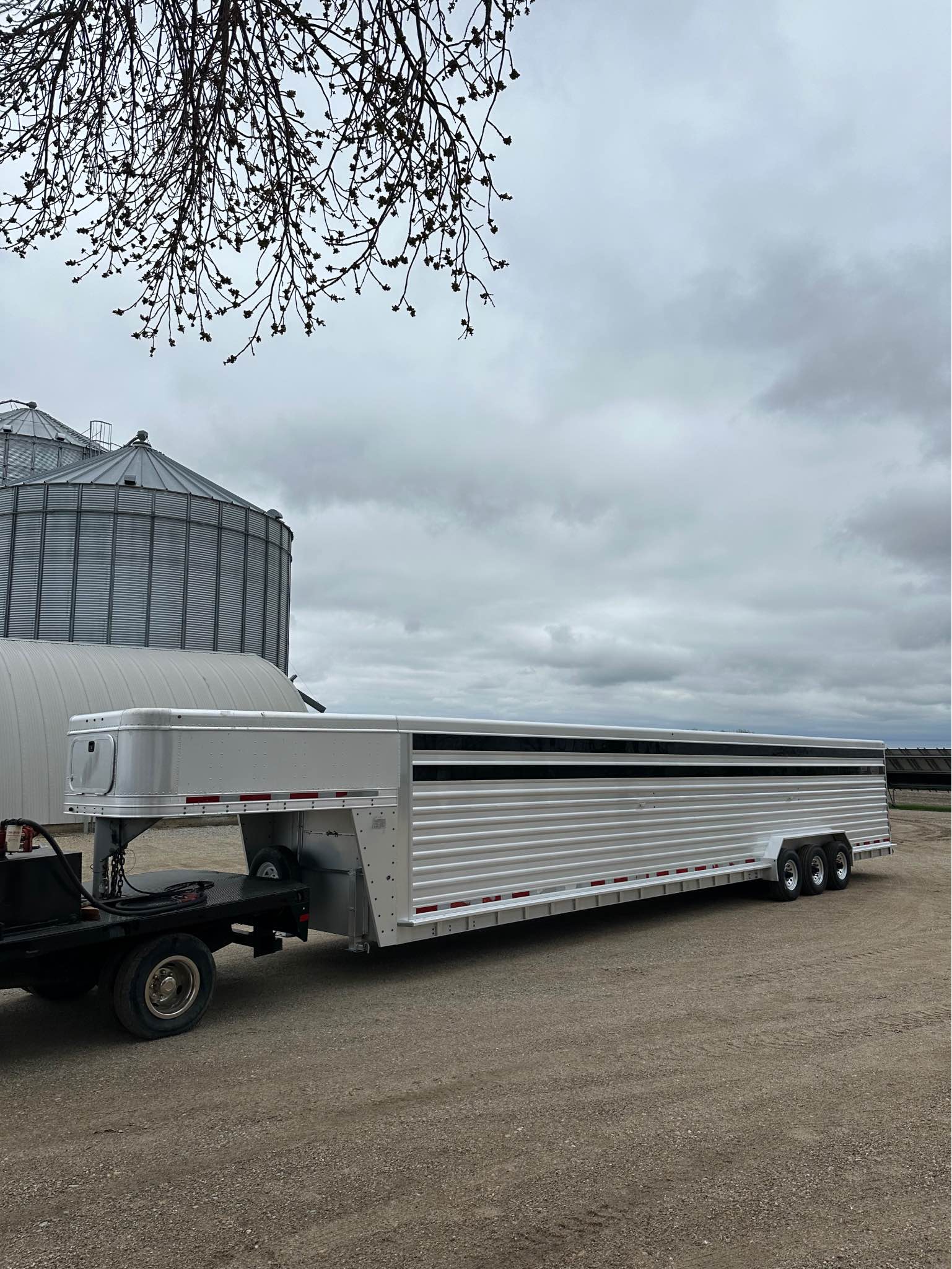 2012 Featherlite Livestock - Trailers - Albert Lea, Minnesota ...