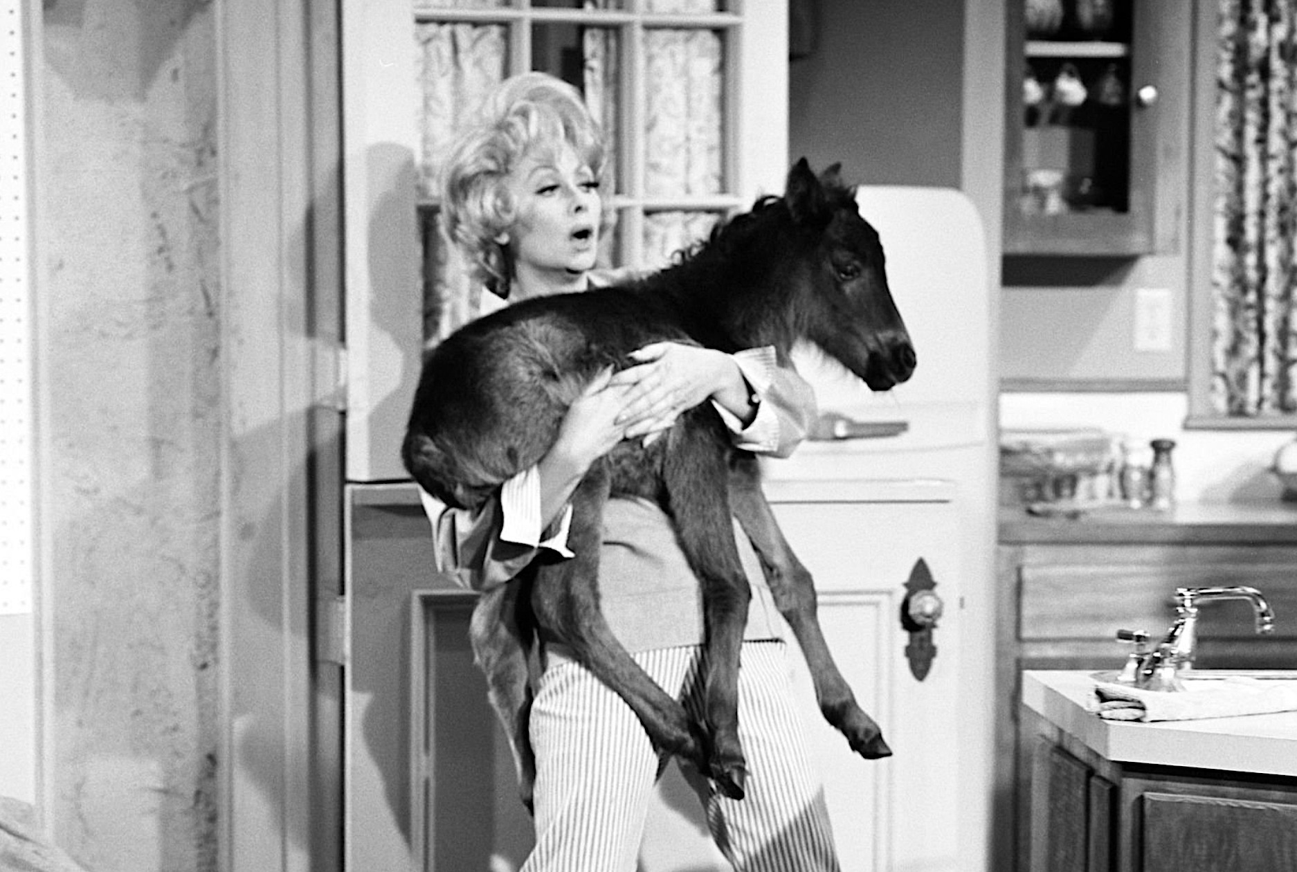 Real Time 1960s - May 8, 1961 - Miss Linda Riss (pictured), the partly ...